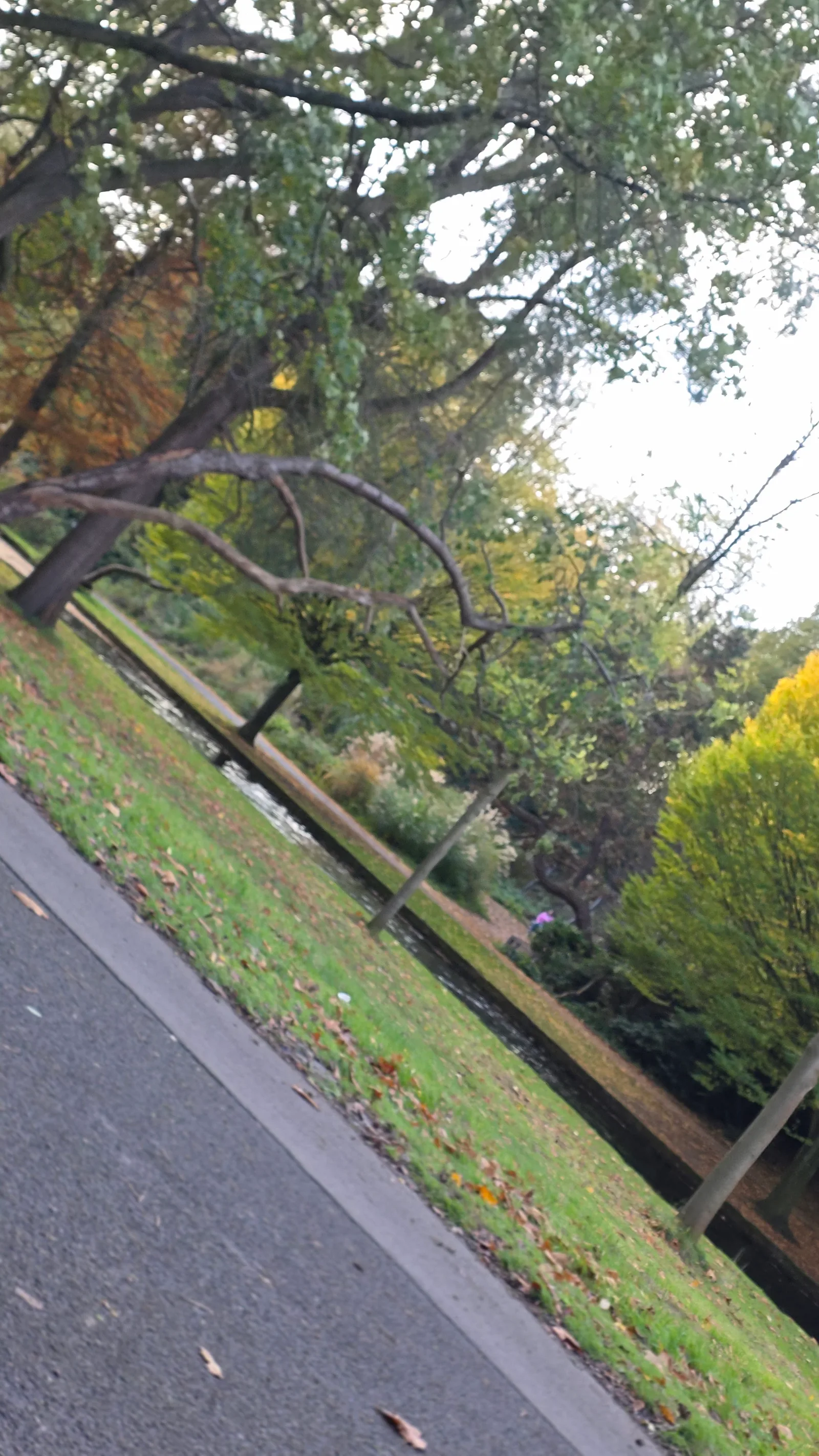 Details at Sefton Park Obelisk Liverpool — travel photo