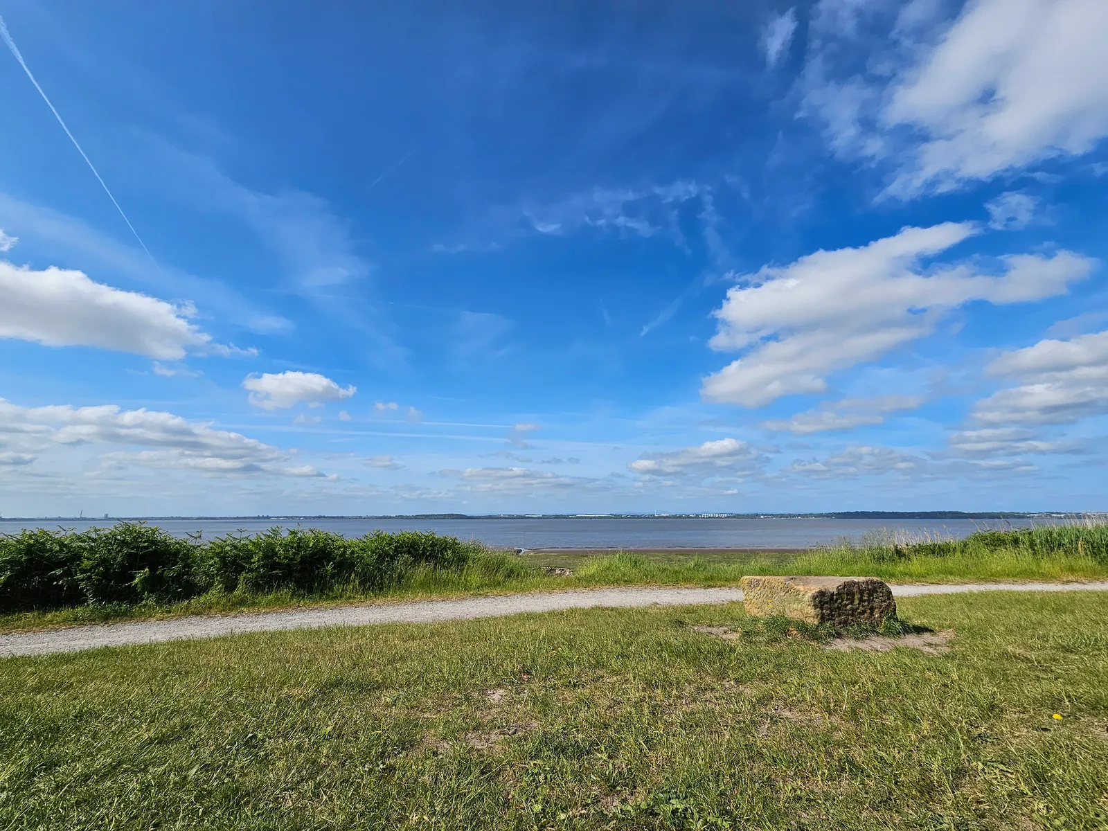 Details at Speke and Garston Coastal Reserve Liverpool — travel photo