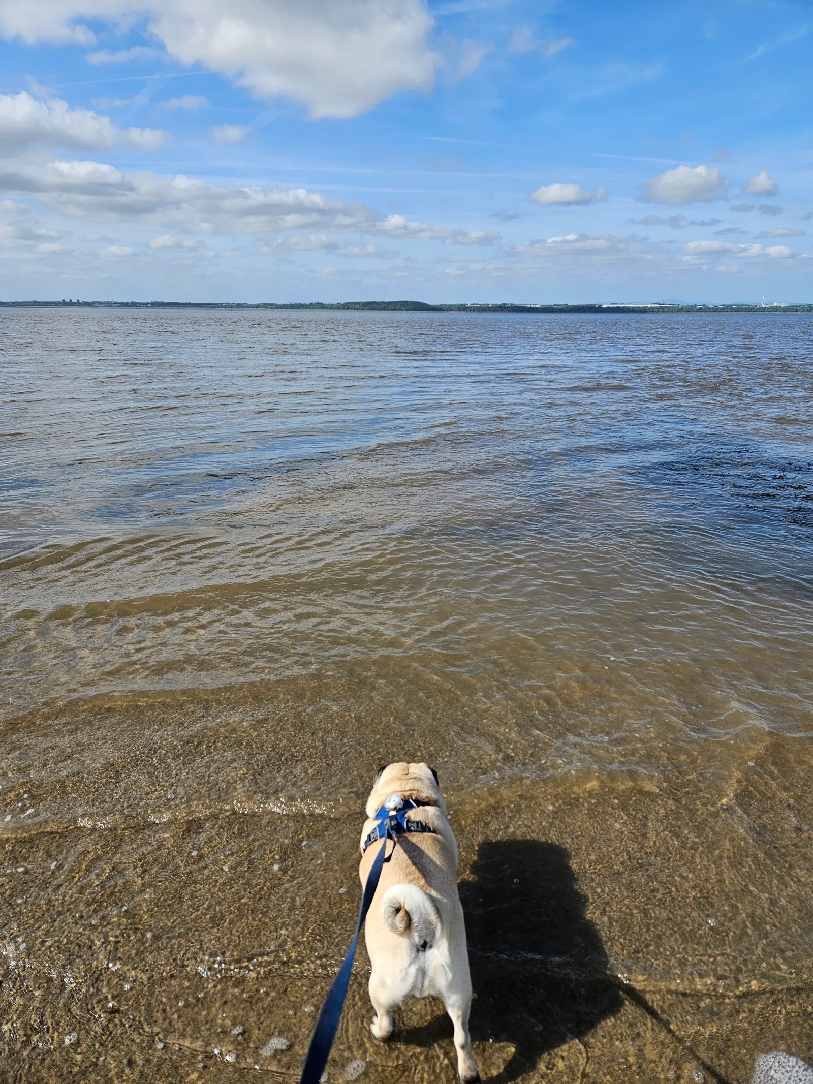 Atmosphere at Speke and Garston Coastal Reserve Liverpool — travel photo