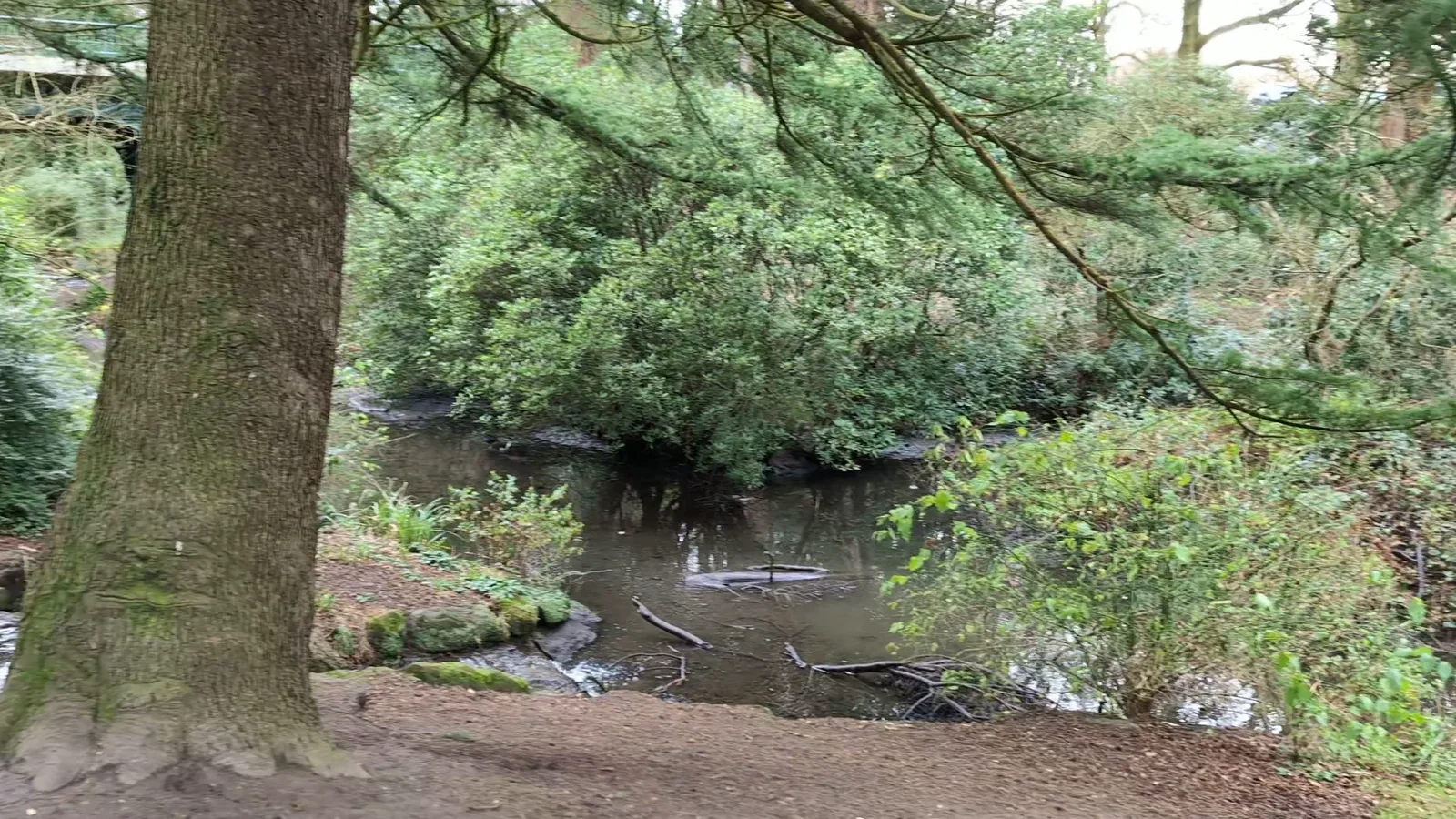 Details at The Fairy Glen Liverpool — travel photo
