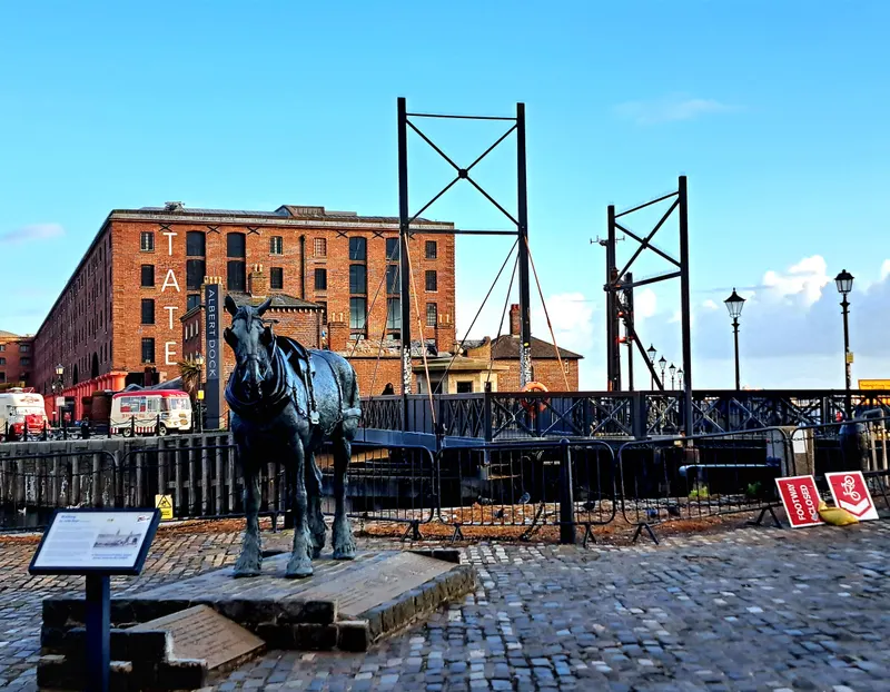 The Swing Bridge - Royal Albert DockU K