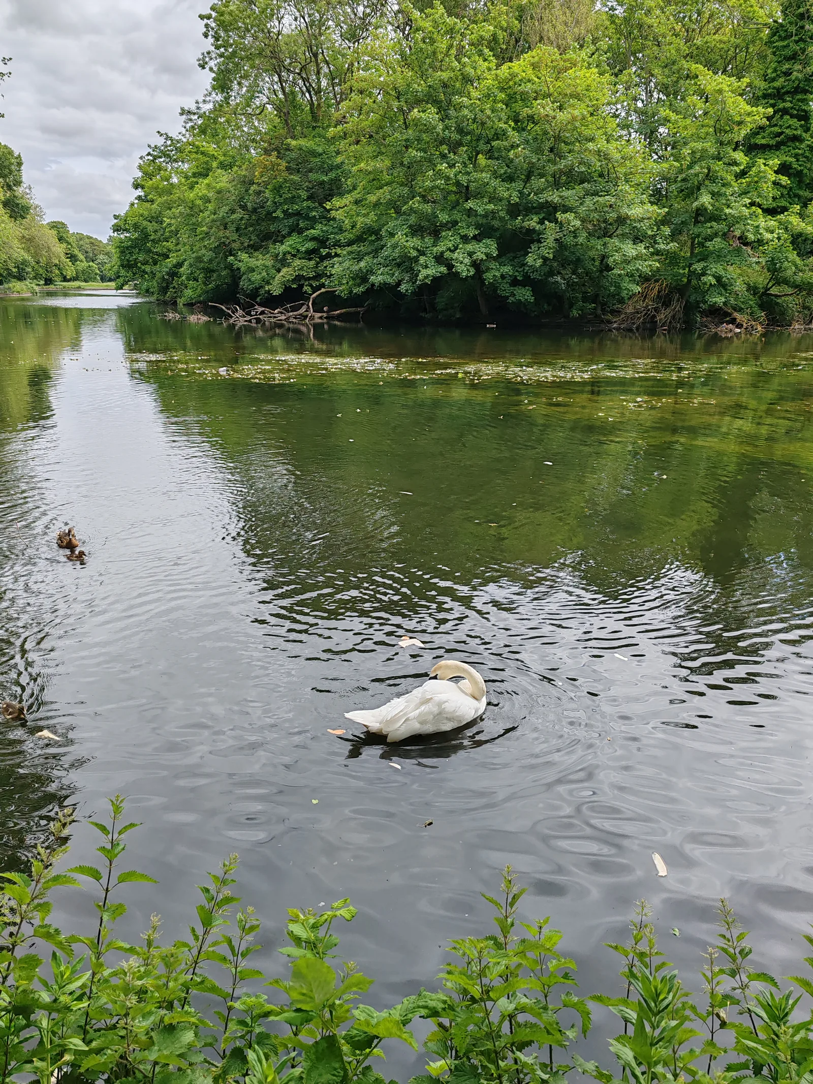Interior at Walton Hall Park Liverpool — travel photo