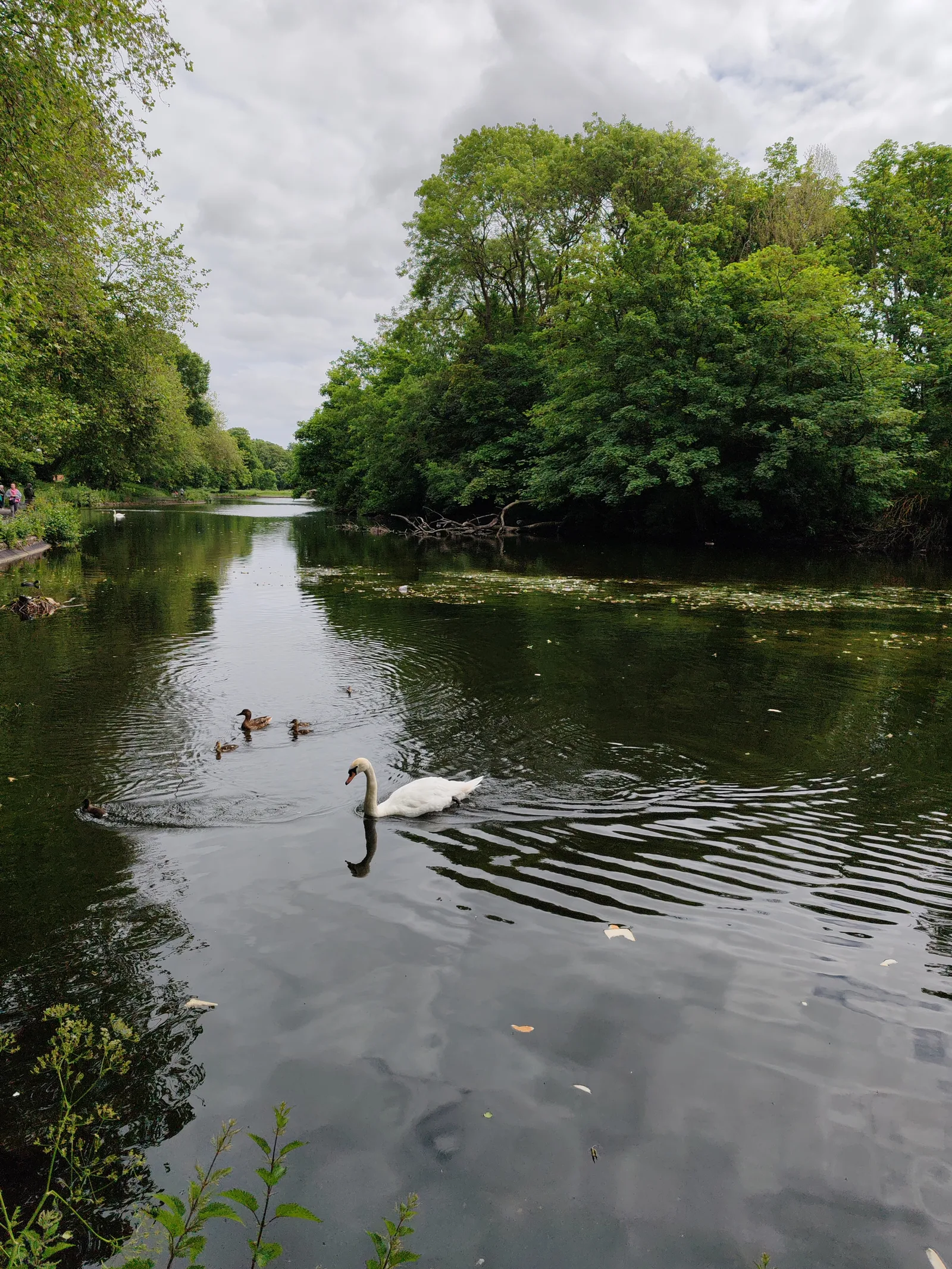 Atmosphere at Walton Hall Park Liverpool — travel photo