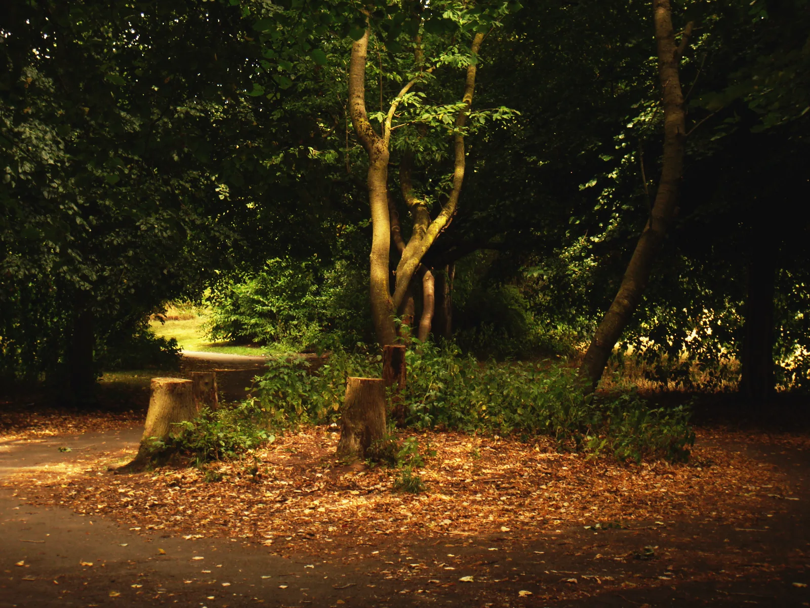 Main view at Wavertree Botanic Garden and Park Liverpool — travel photo