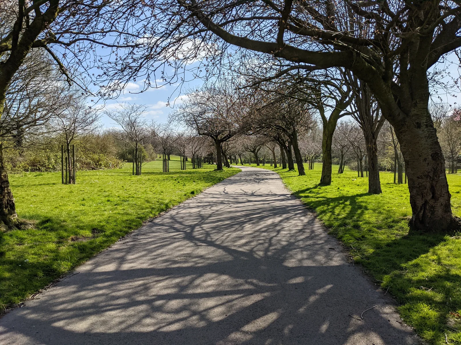 Interior at Wavertree Botanic Garden and Park Liverpool — travel photo
