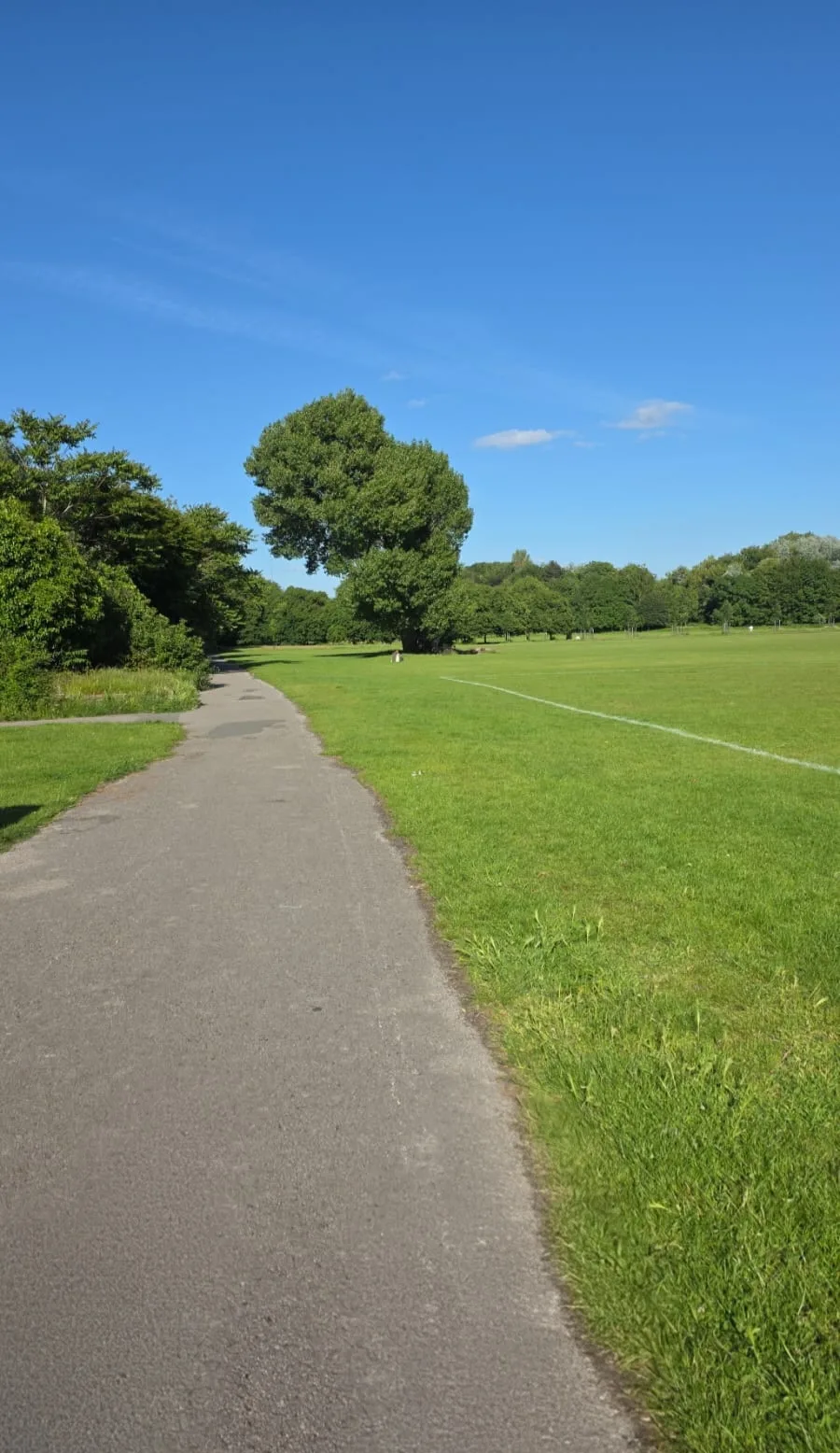 Atmosphere at Wavertree Botanic Garden and Park Liverpool — travel photo