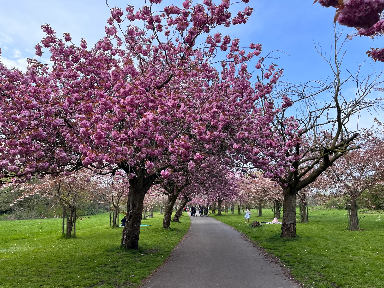 Wavertree Park Garden Edge Ln