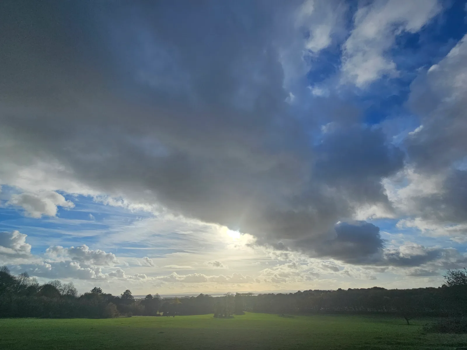Main view at Woolton Wood And Camp Hill Liverpool — travel photo