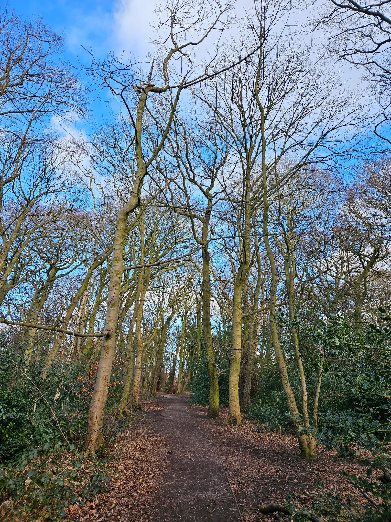 Interior at Woolton Wood And Camp Hill Liverpool — travel photo