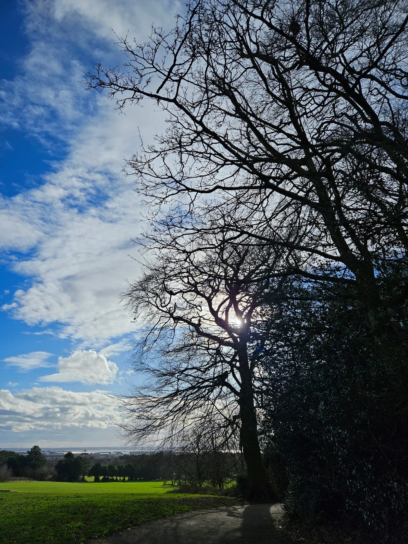 Atmosphere at Woolton Wood And Camp Hill Liverpool — travel photo