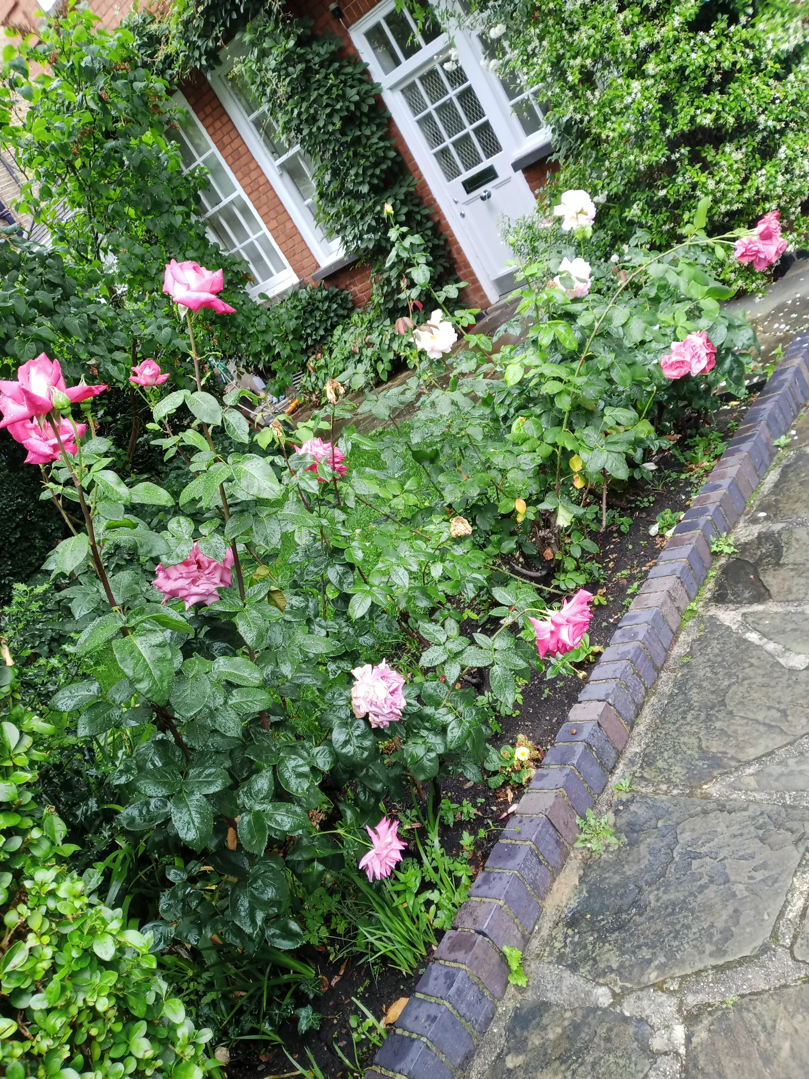 Details at Freud Museum London London — travel photo