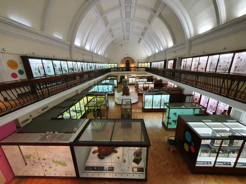 Horniman Museum and Gardens in London