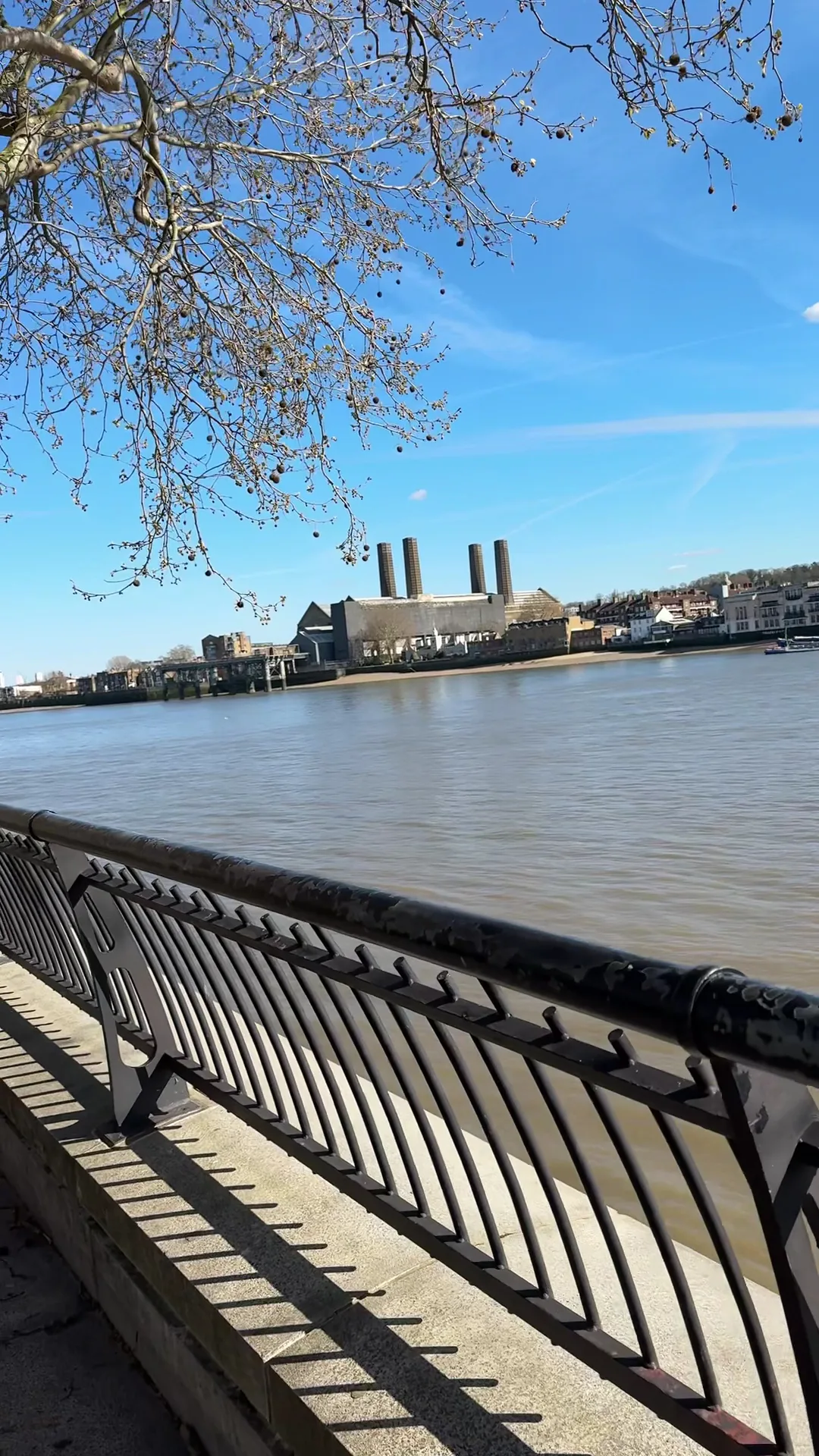Details at Island Gardens London — travel photo