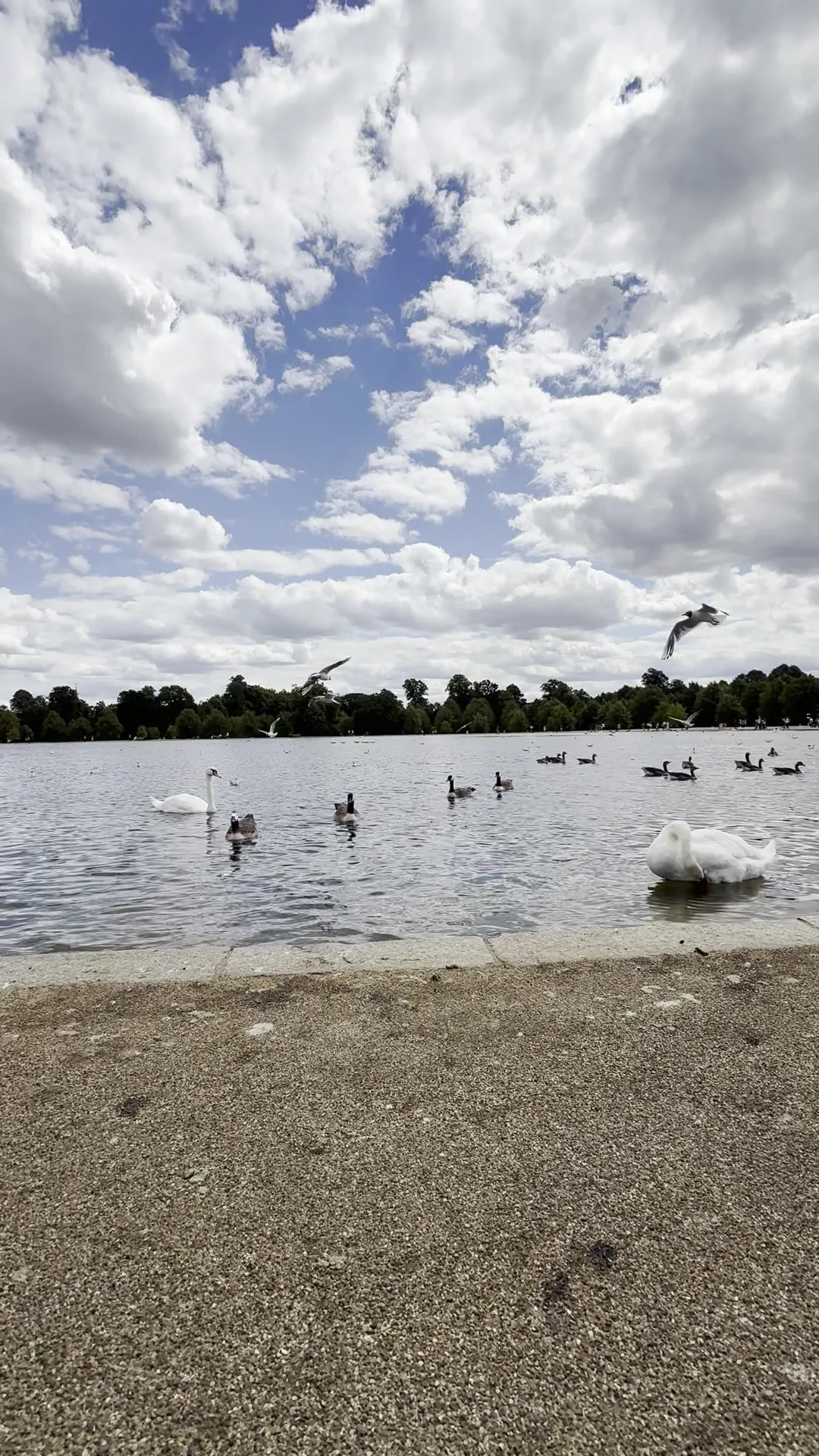 Main view at Kensington Gardens London — travel photo