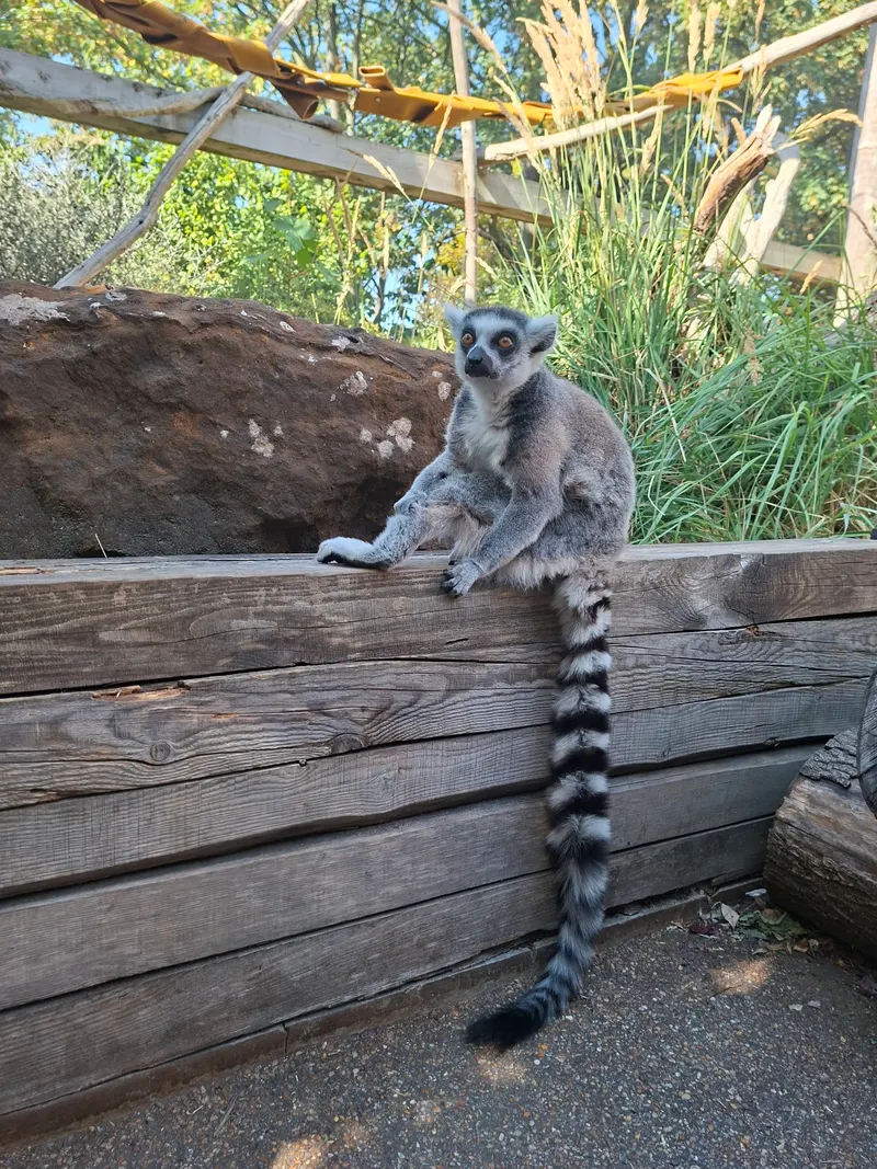 London Zoo