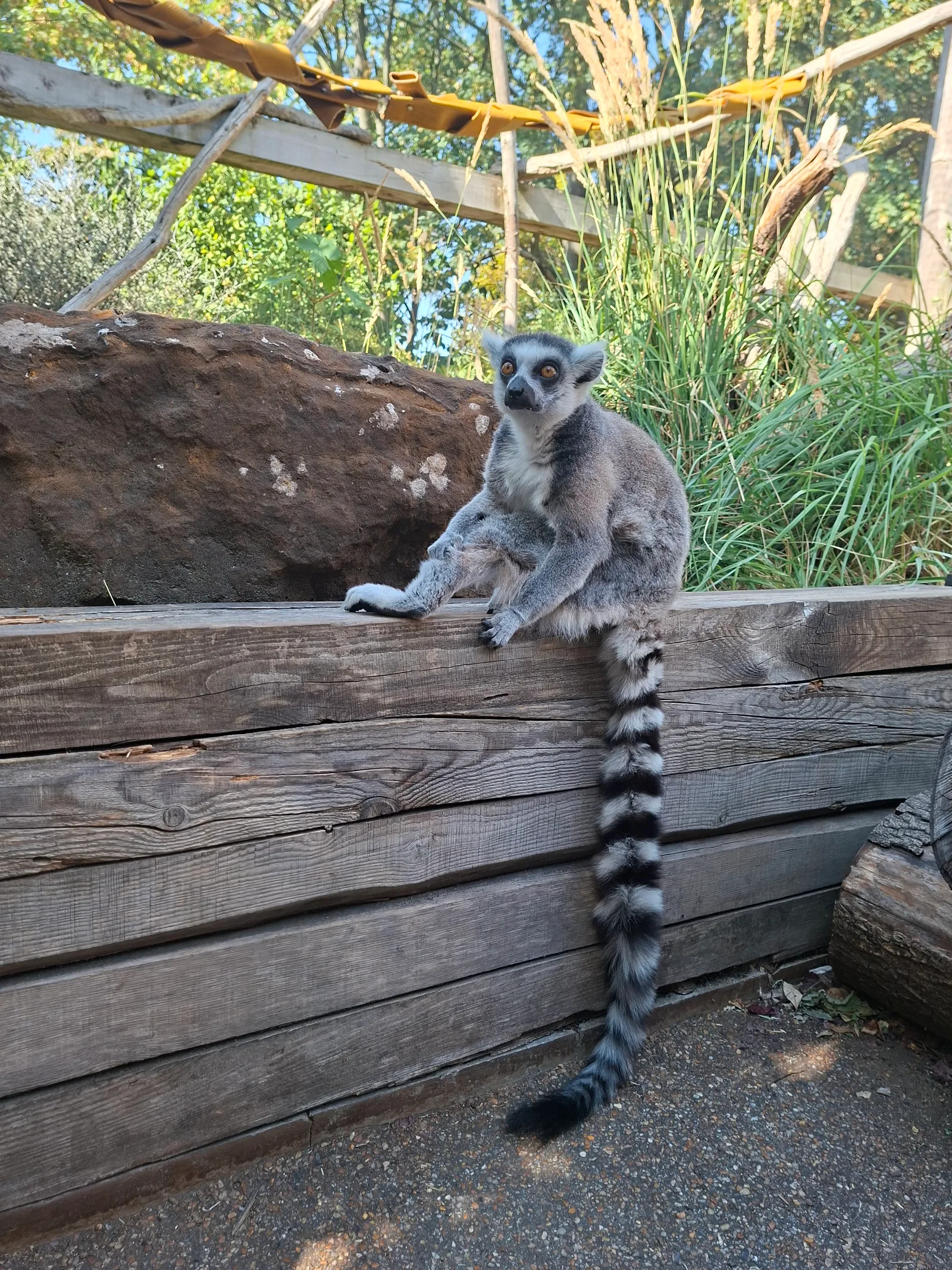 London Zoo — family guide London