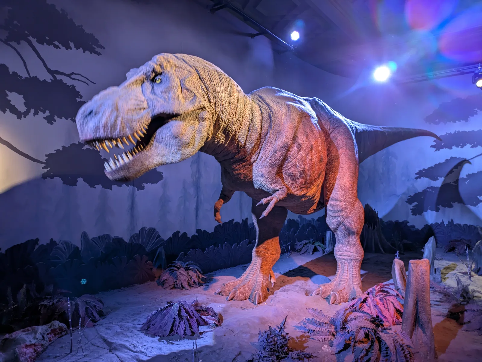 Details at Natural History Museum London — travel photo