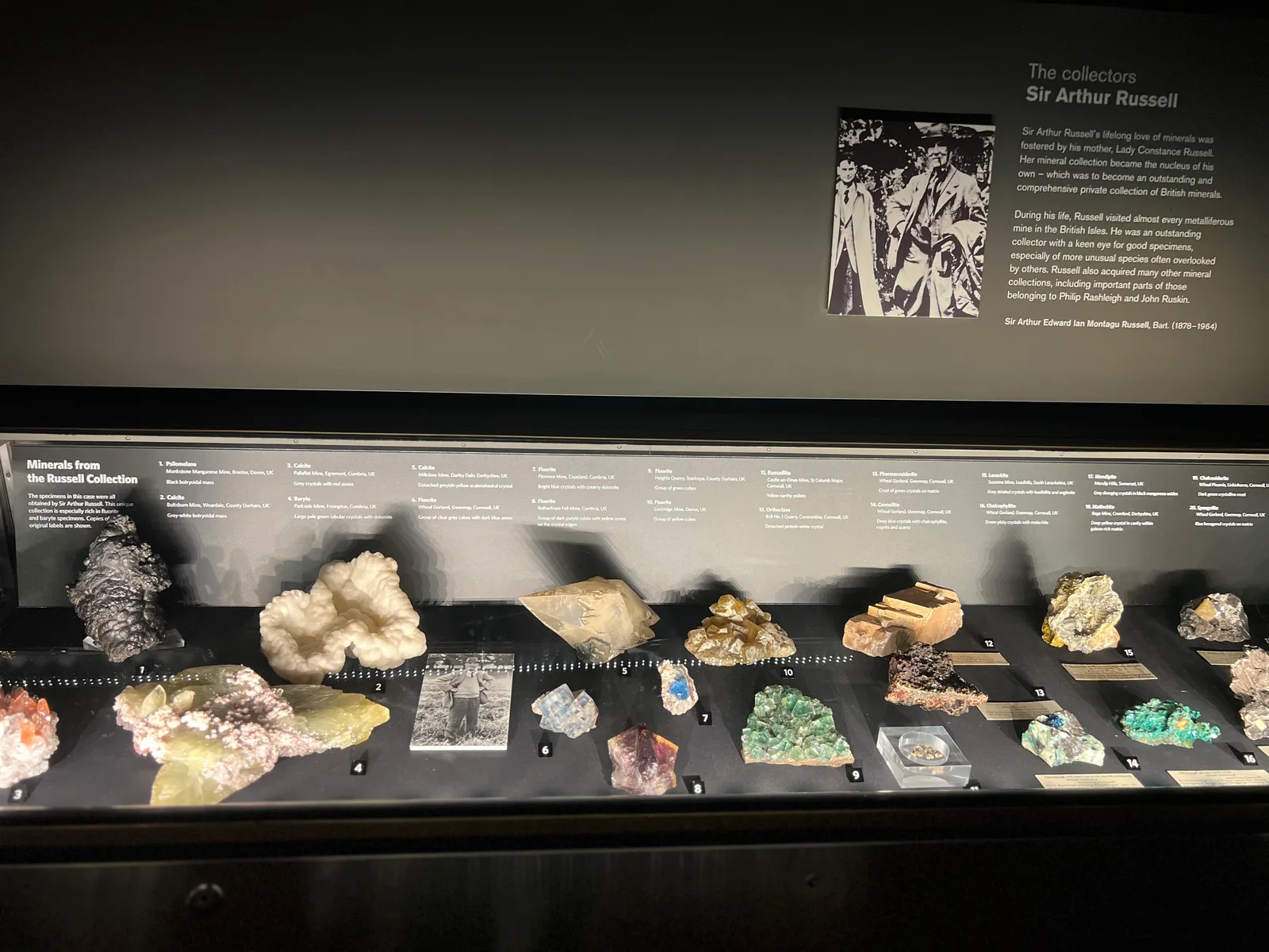 Atmosphere at Natural History Museum London — travel photo