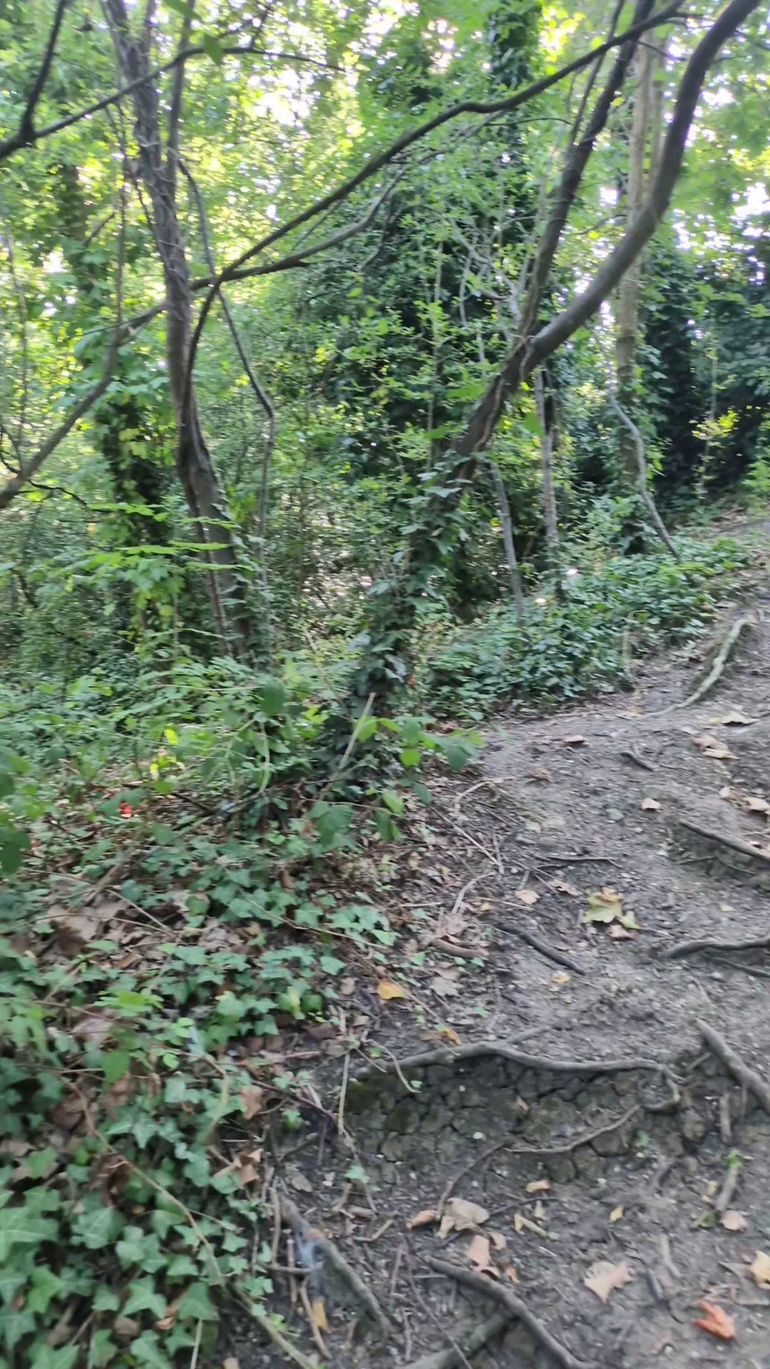 Interior at One Tree Hill Park London — travel photo
