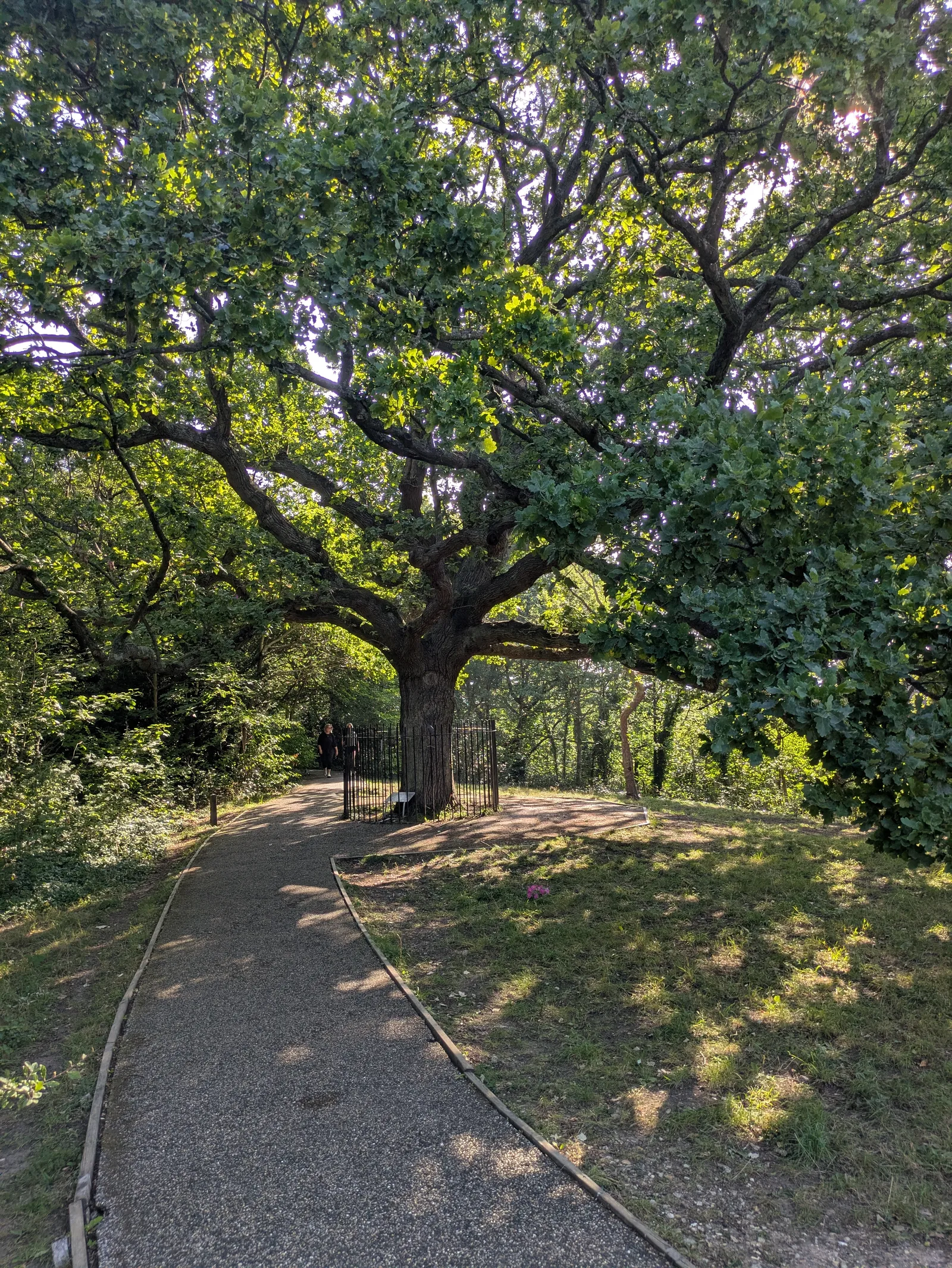 Details at One Tree Hill Park London — travel photo