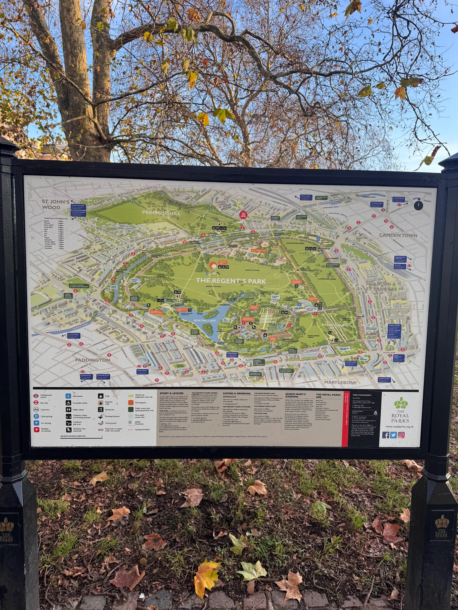 Interior at Primrose Hill London — travel photo