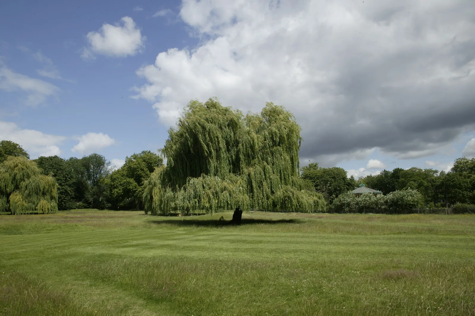 Queen's Park — romantic guide London