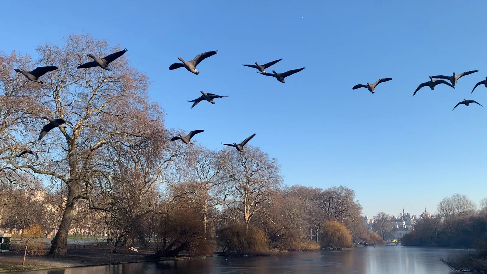 Atmosphere at St James's Park London — travel photo