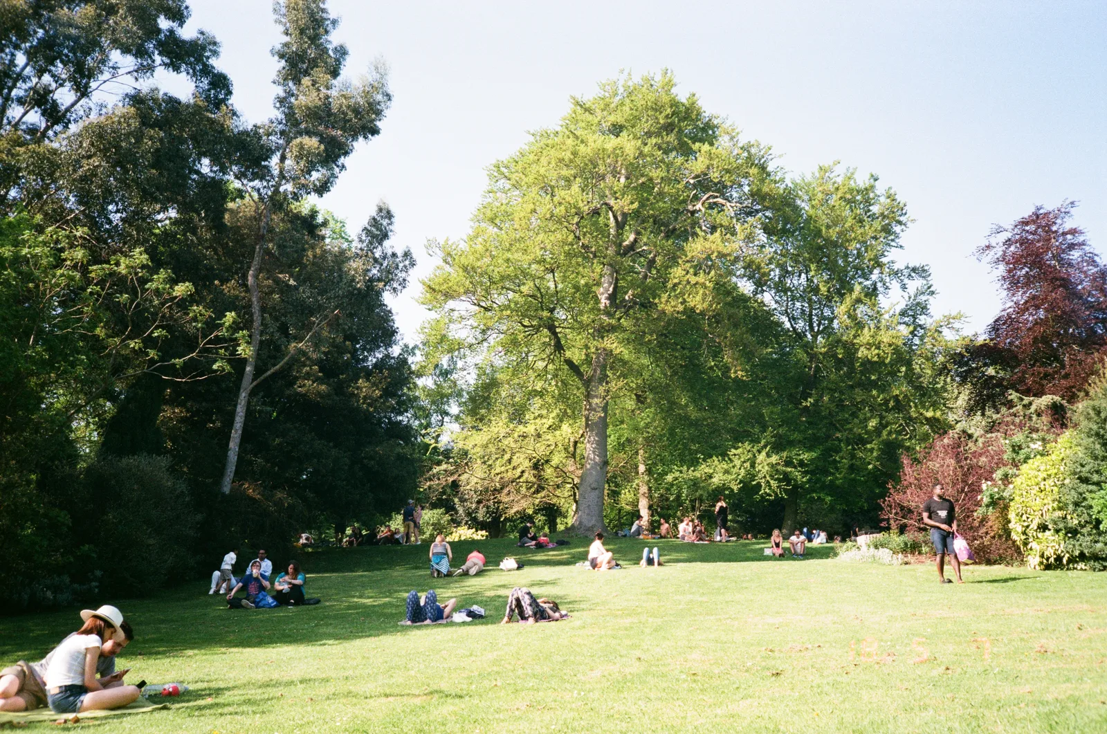 Interior at The Hill London — travel photo