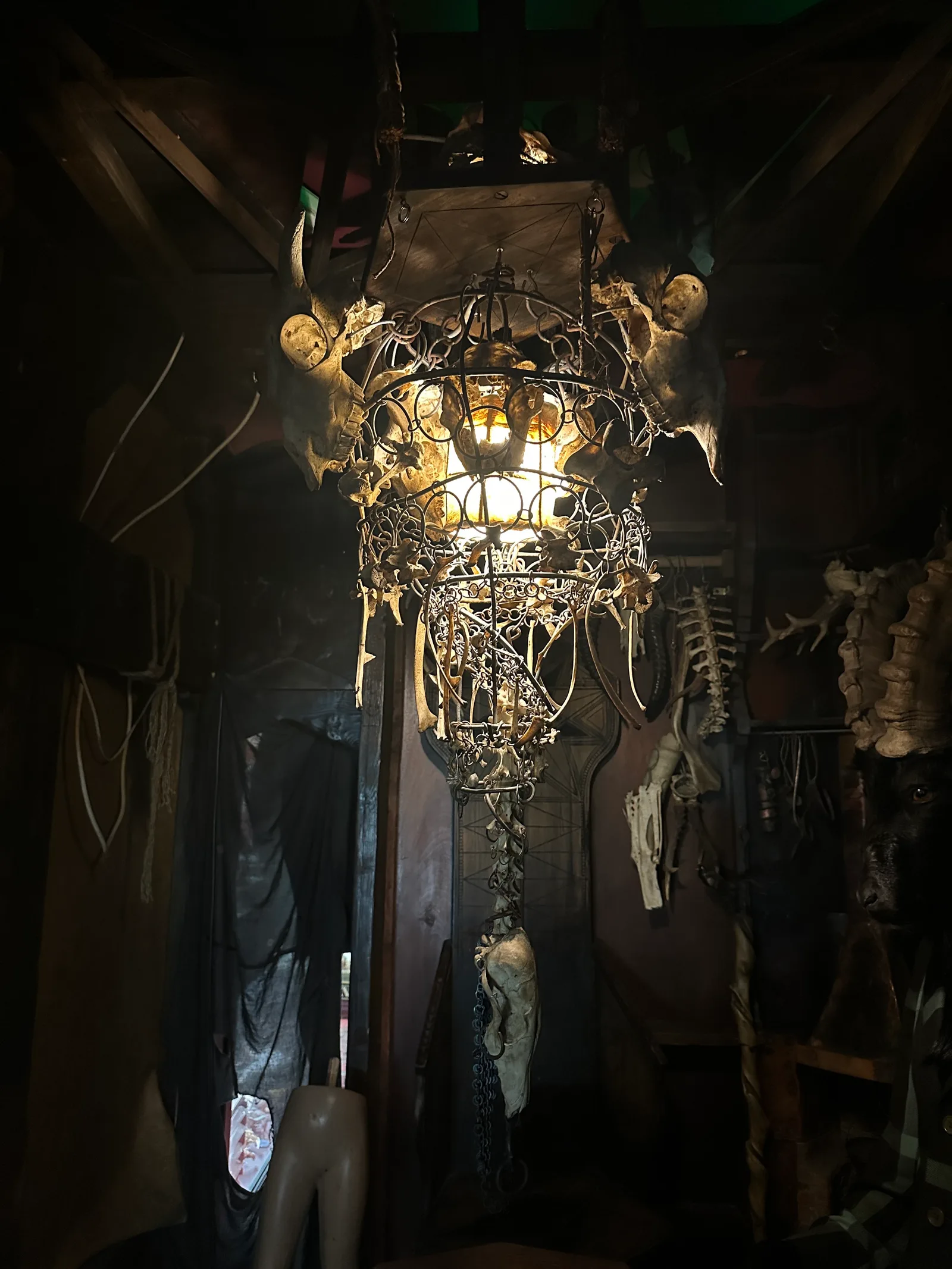 Main view at The Viktor Wynd Museum of Curiosities Fine Art & Natural History The Last Tuesday Society London — travel photo