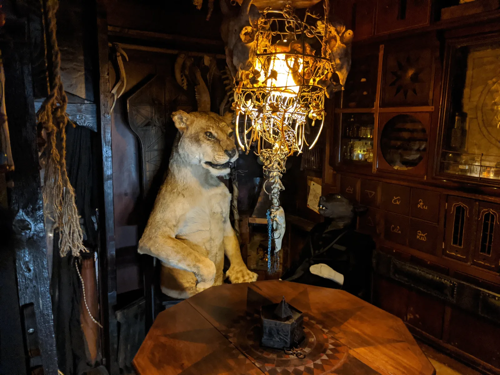 Interior at The Viktor Wynd Museum of Curiosities Fine Art & Natural History The Last Tuesday Society London — travel photo