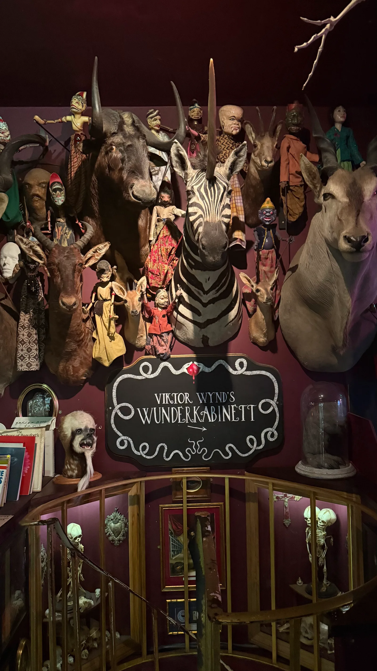 Atmosphere at The Viktor Wynd Museum of Curiosities Fine Art & Natural History The Last Tuesday Society London — travel photo