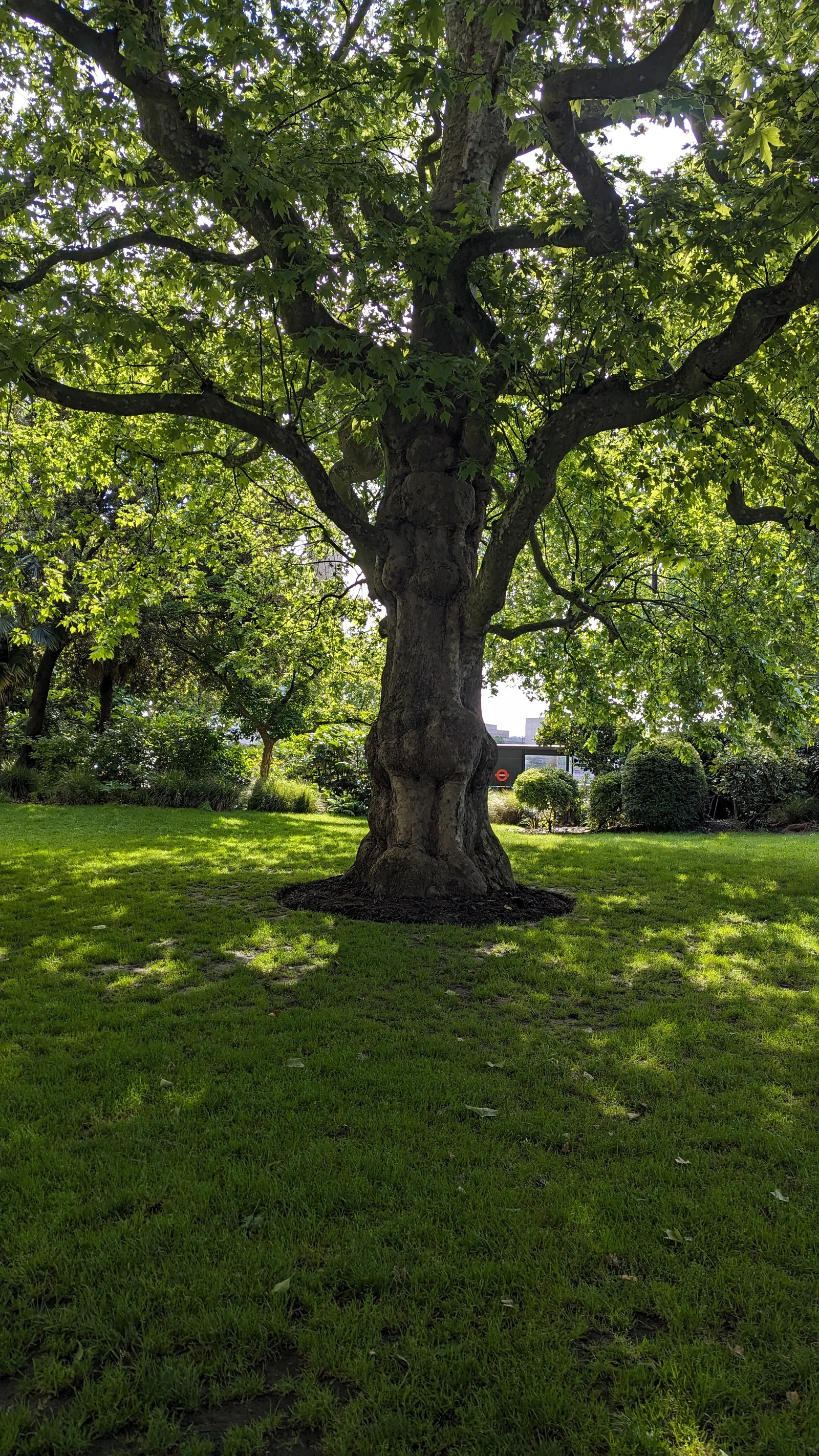 Atmosphere at Victoria Embankment Gardens London — travel photo