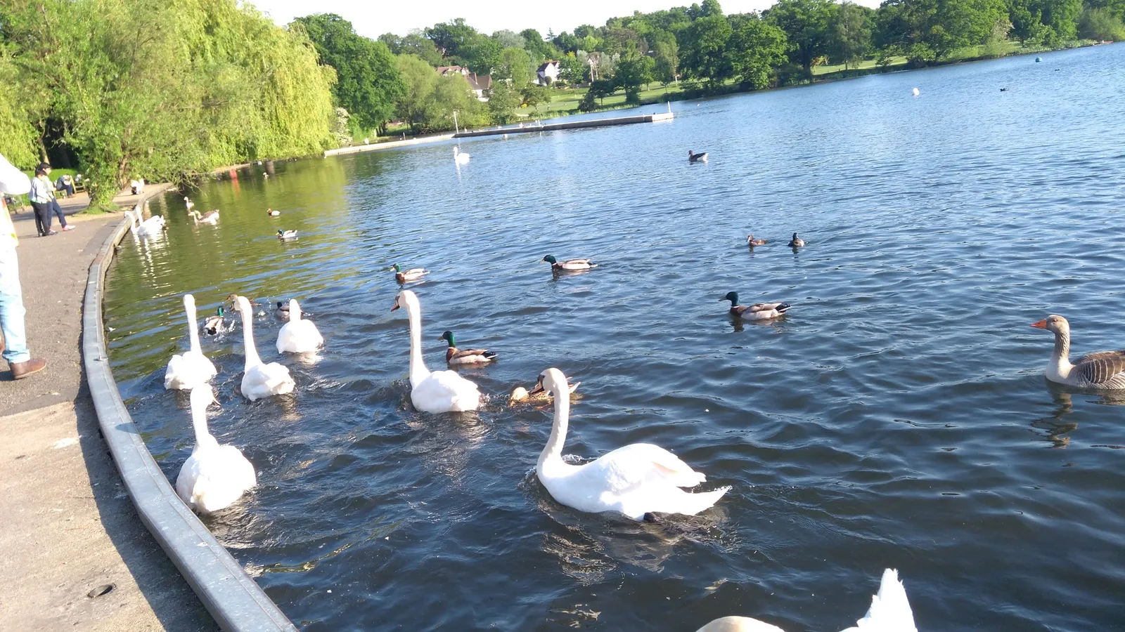 Wimbledon Park — romantic guide London