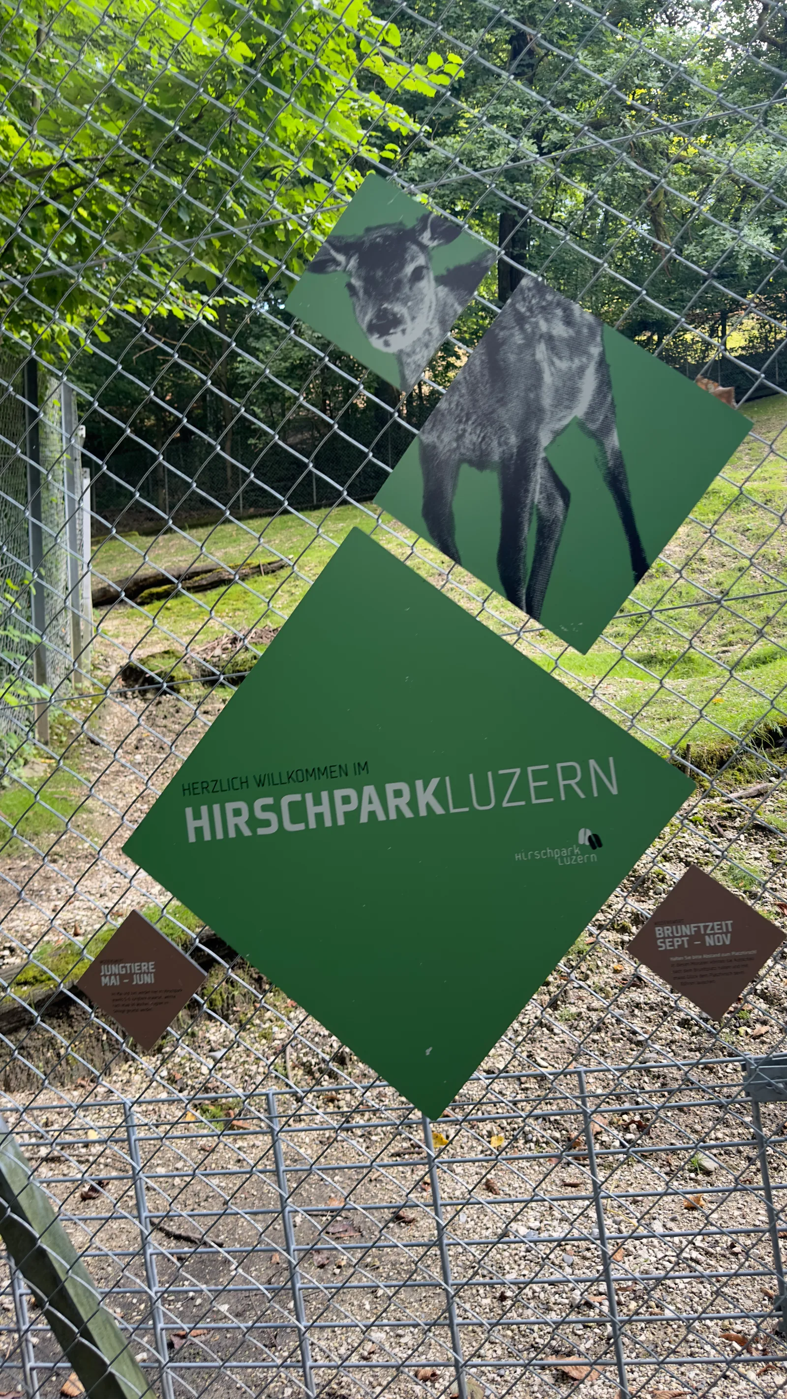 Atmosphere at Hirschpark Luzern Lucerne — travel photo