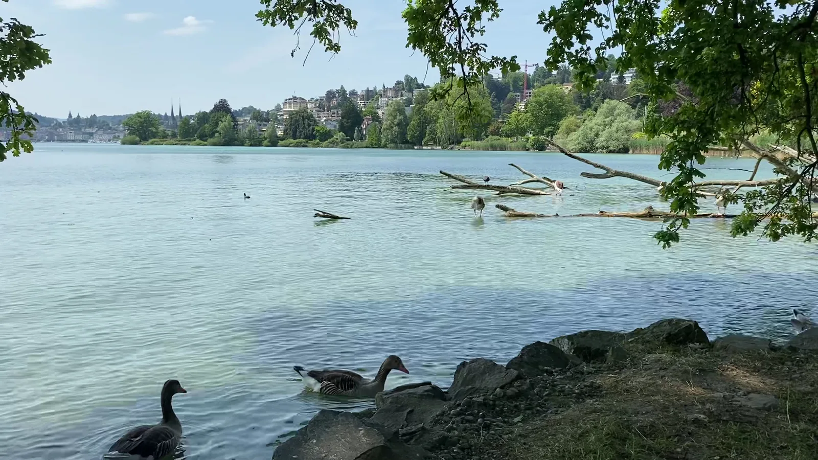 Atmosphere at Lido Wiese Lucerne — travel photo
