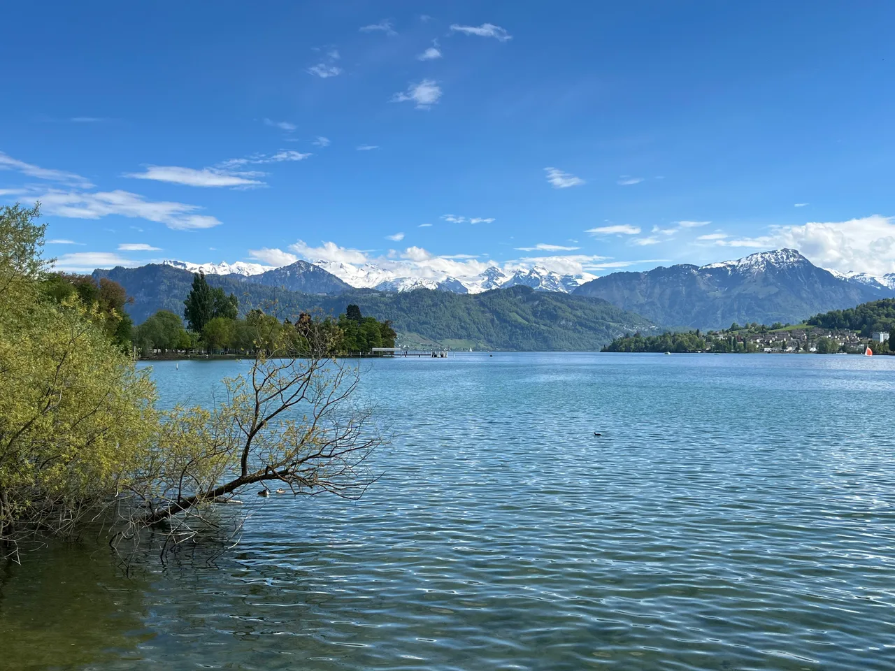 Lido Wiese — family guide Lucerne