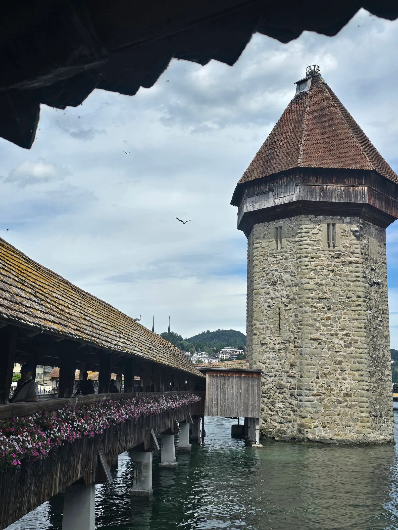 Atmosphere at LIV Suites Lucerne — travel photo