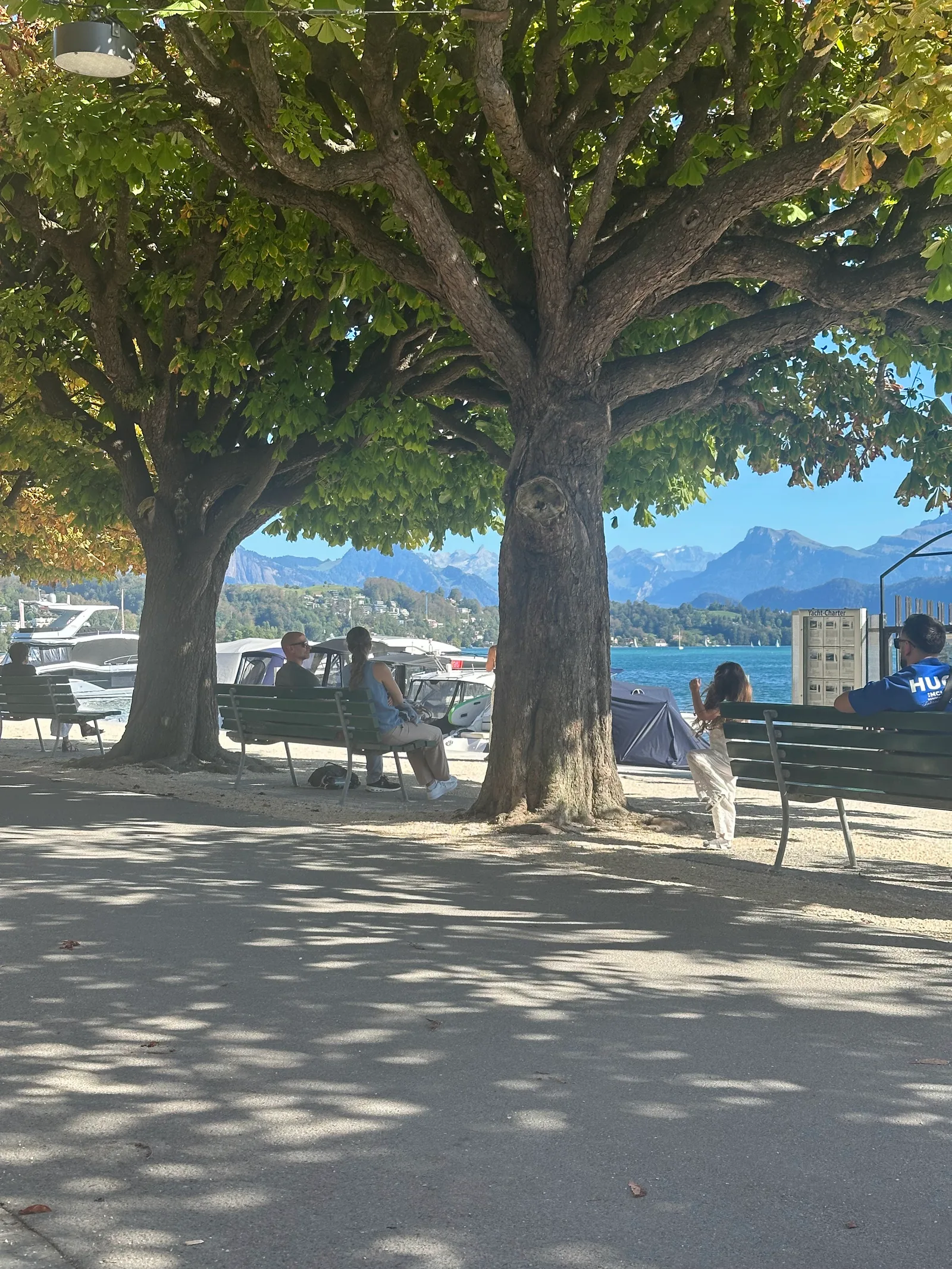 Main view at Luzerner Seepromenade Lucerne — travel photo