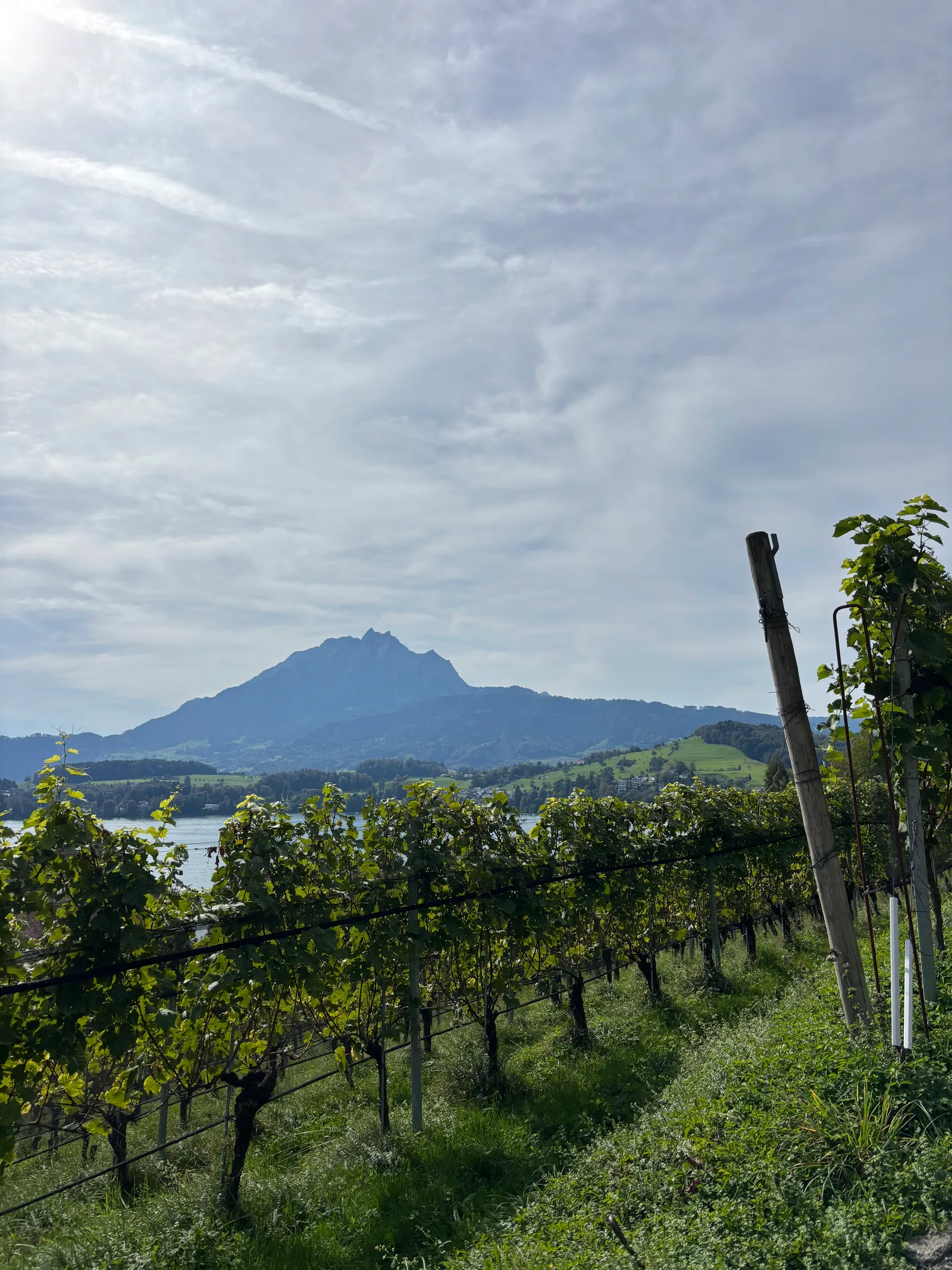 Main view at Meggenhorn Lucerne — travel photo
