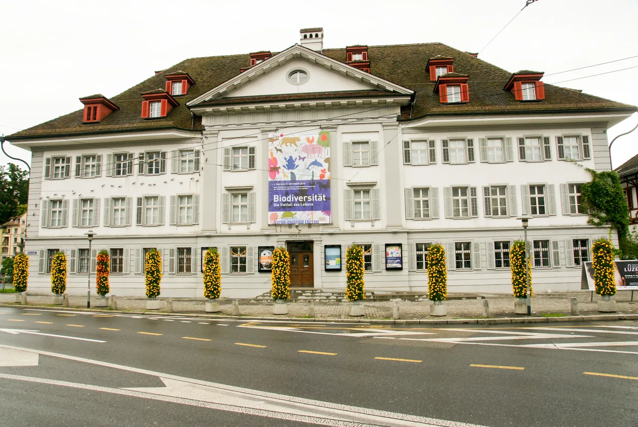 Museum Luzern
