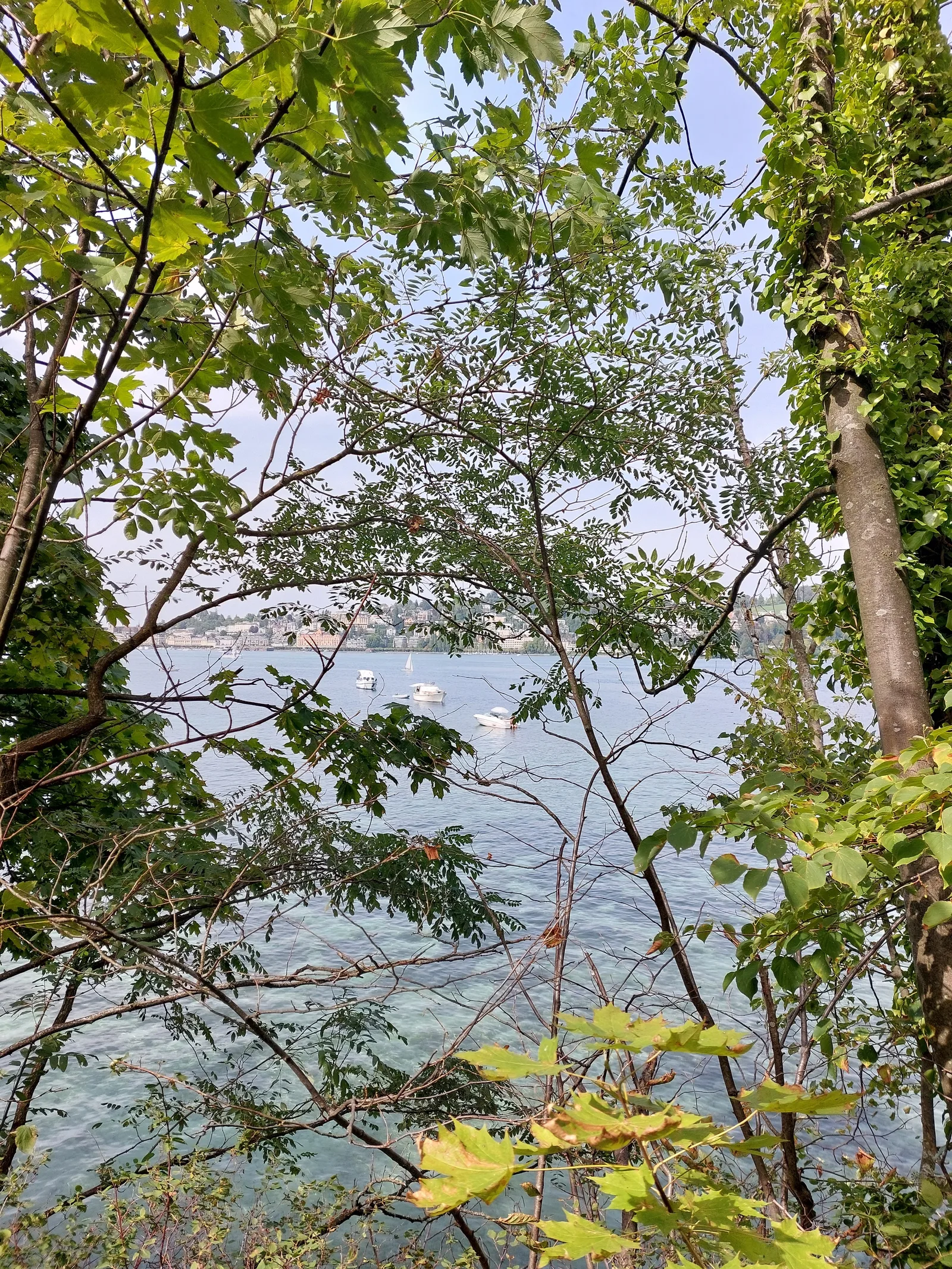 Main view at Richard Wagner Museum Lucerne Lucerne — travel photo