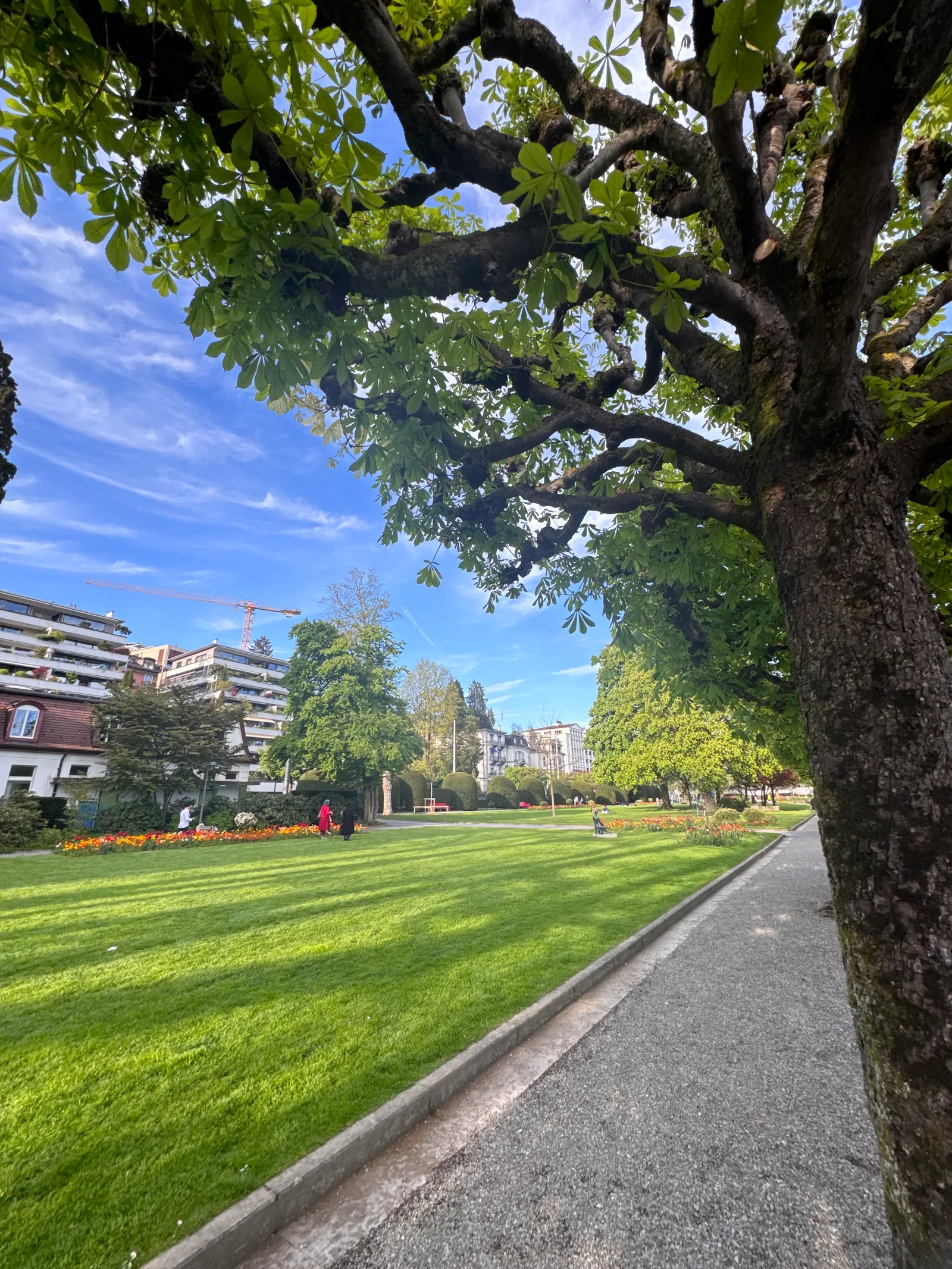 Atmosphere at Spielplatz Haldenstrasse Lucerne — travel photo