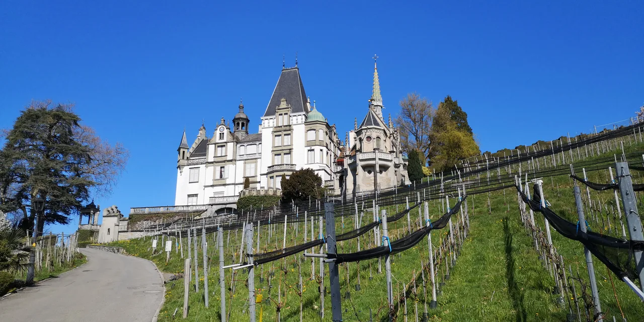 Spielplatz Meggenhorn — family guide Lucerne