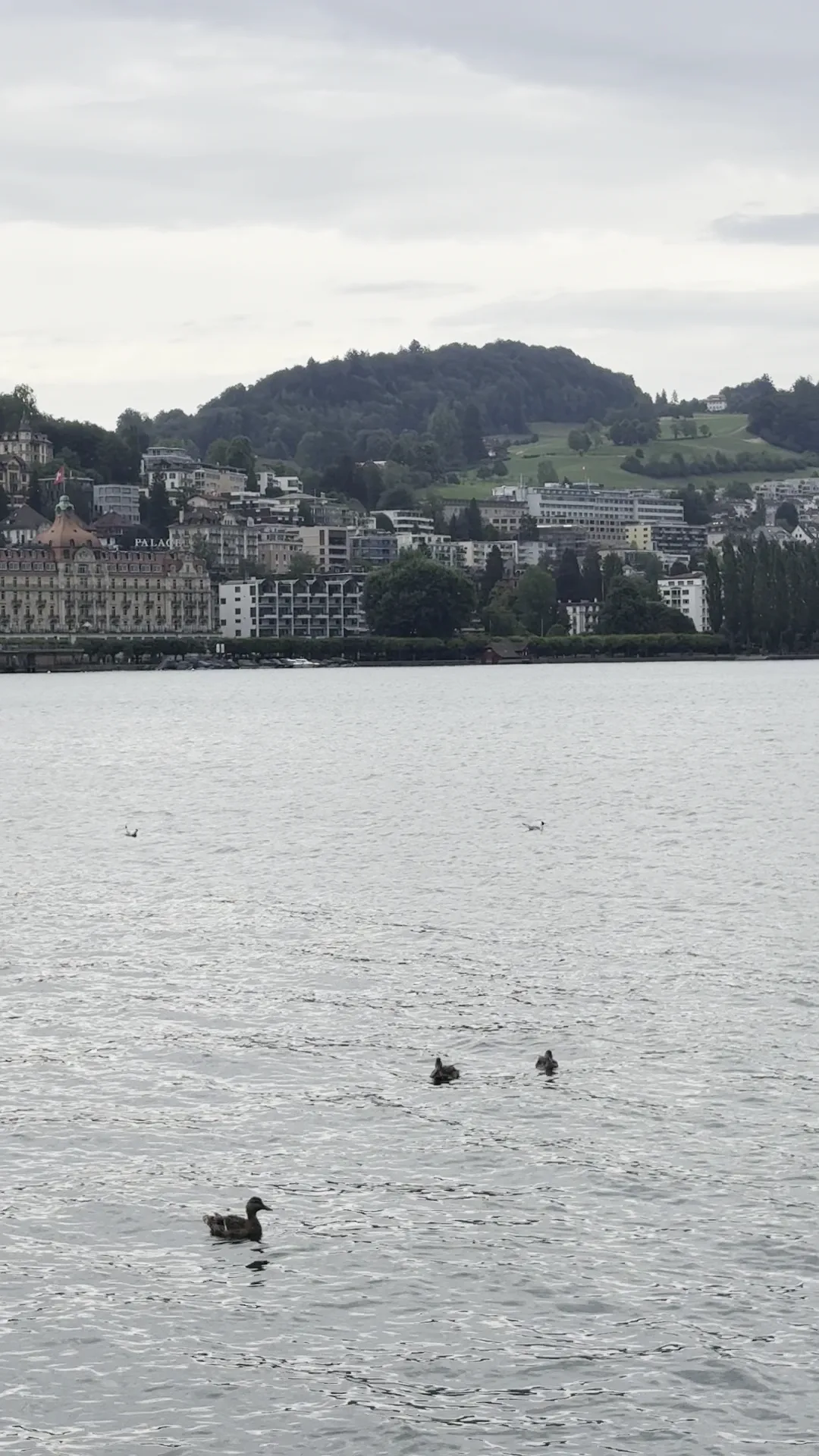 Atmosphere at Ufschötti Luzern Lucerne — travel photo