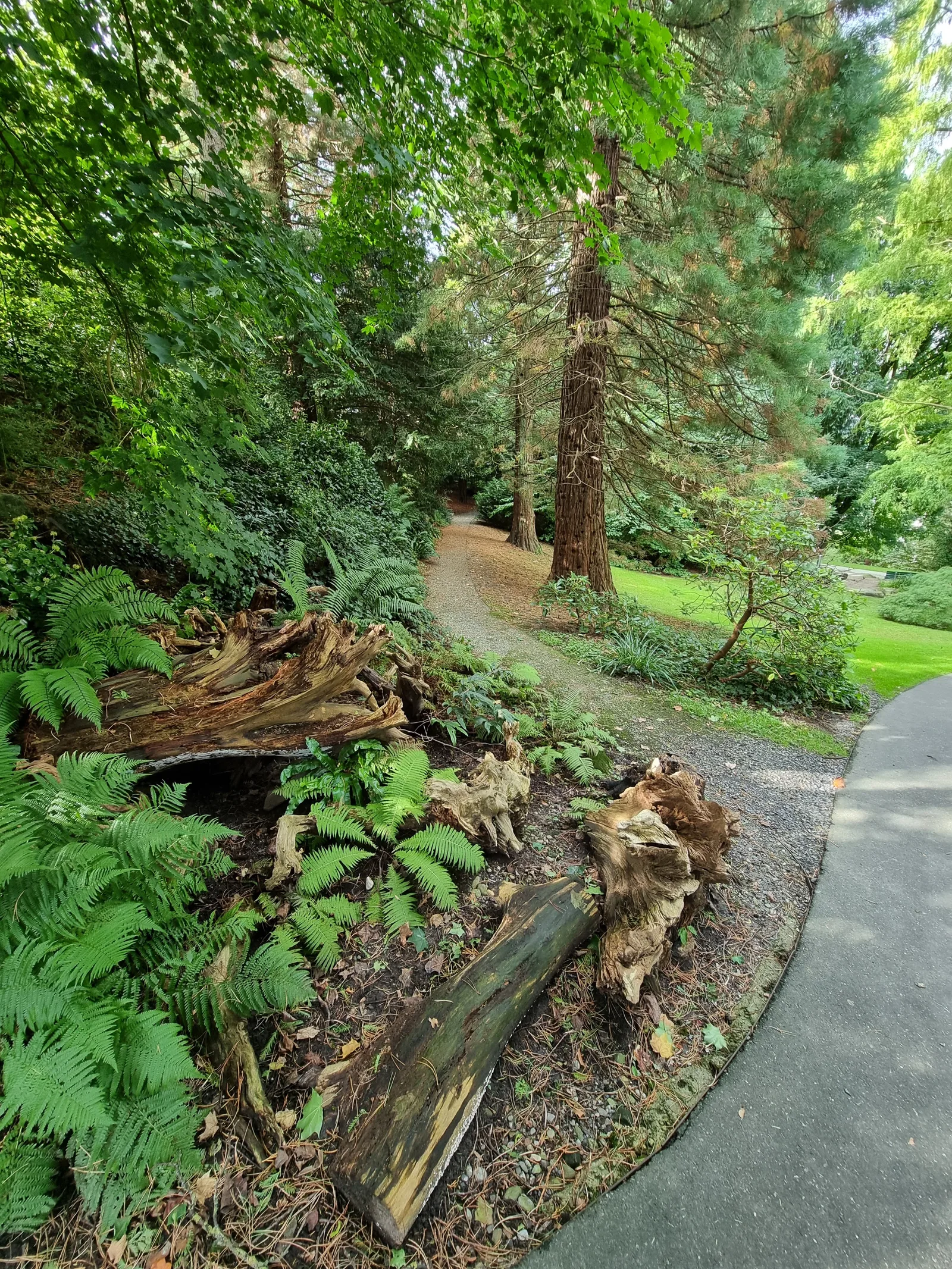 Atmosphere at Wettsteinpark Lucerne — travel photo