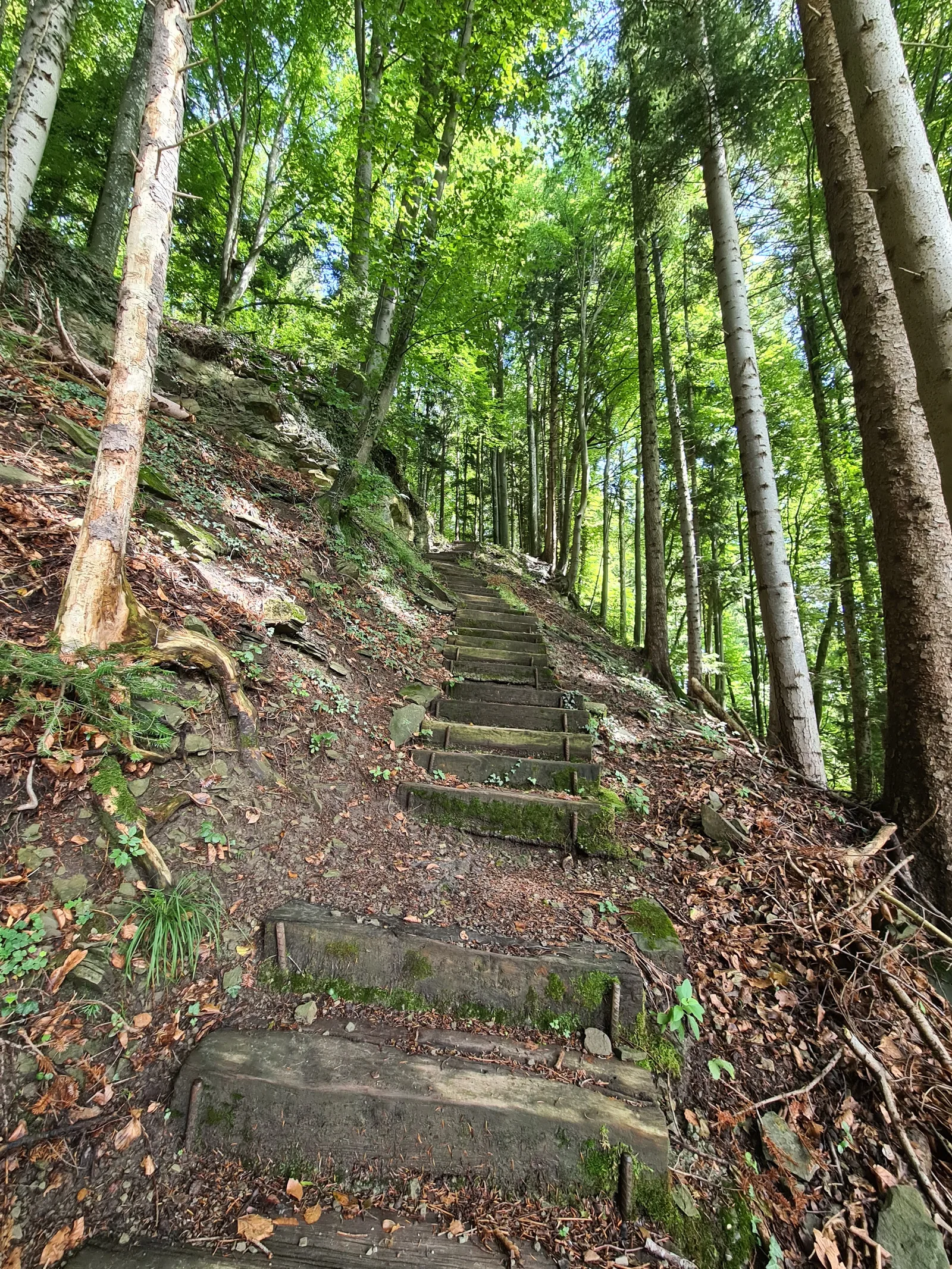 Main view at Wolfsschlucht Kriens Lucerne — travel photo