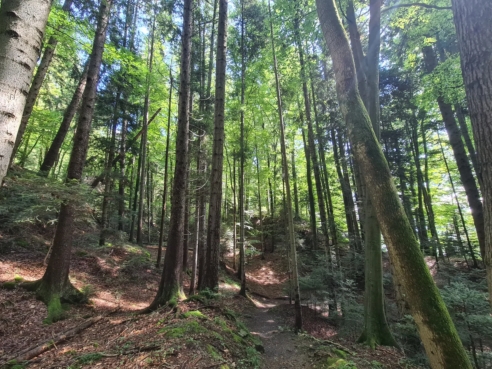 Interior at Wolfsschlucht Kriens Lucerne — travel photo