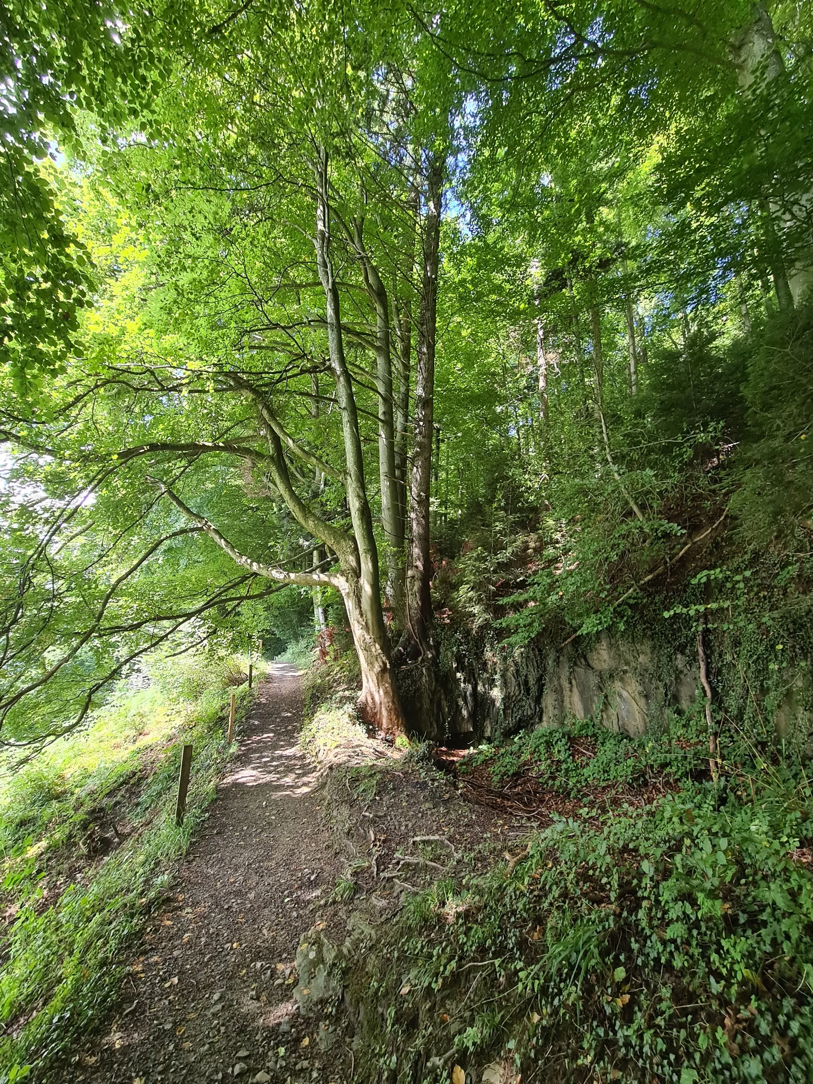 Atmosphere at Wolfsschlucht Kriens Lucerne — travel photo