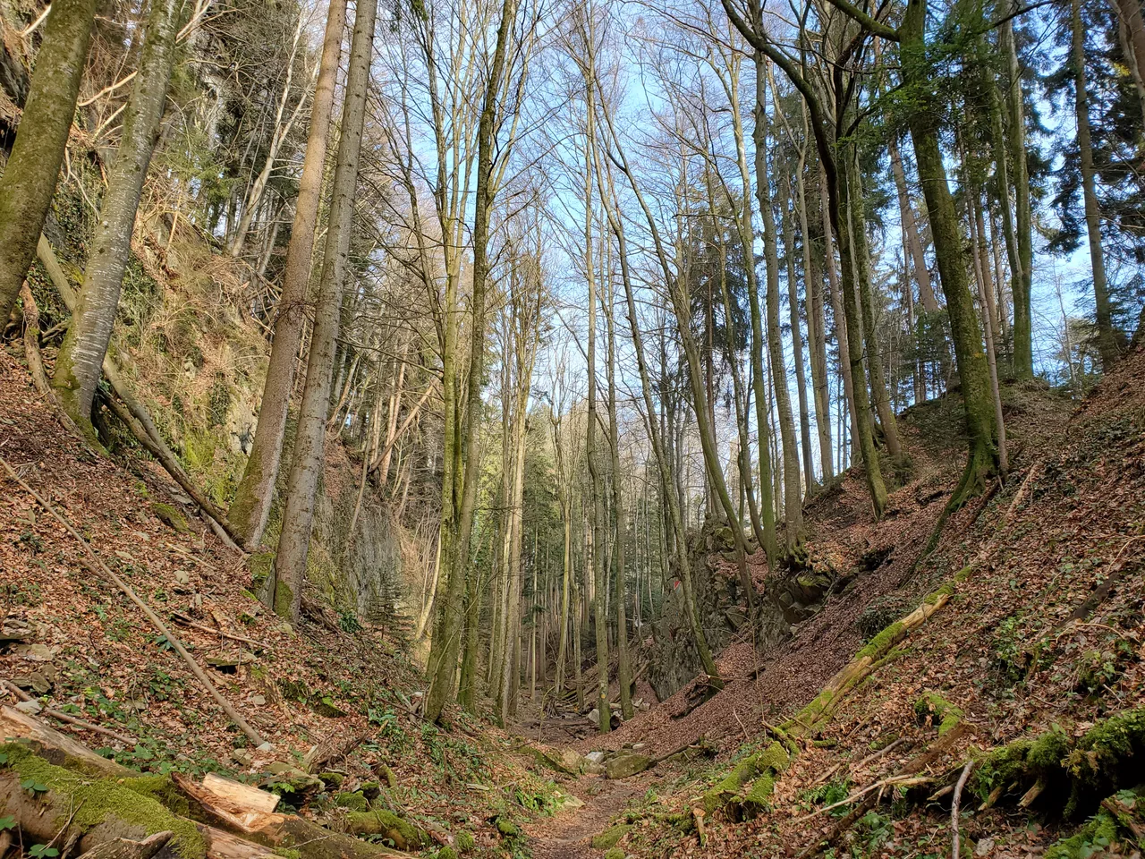 Wolfsschlucht Kriens — hidden gems guide Lucerne