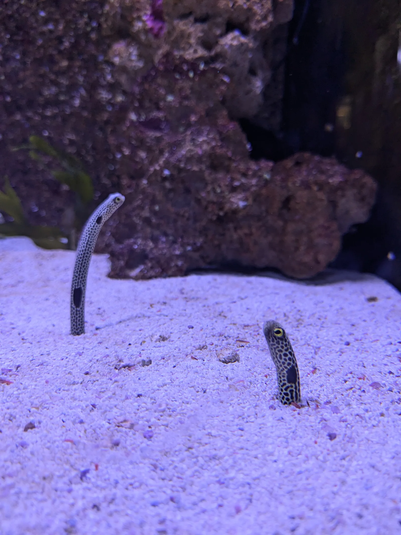 Main view at Aquarium of Lyon Lyon — travel photo
